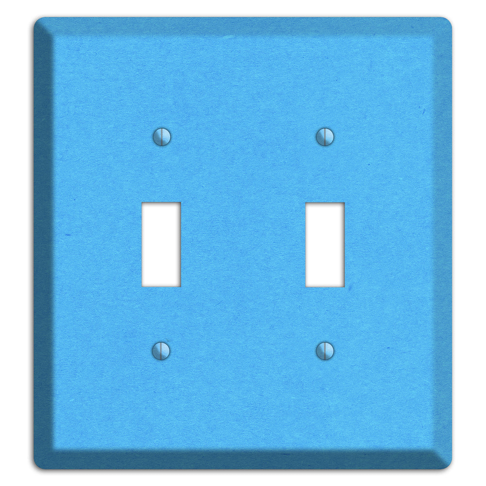 Maya Blue Kraft 2 Toggle Wallplate