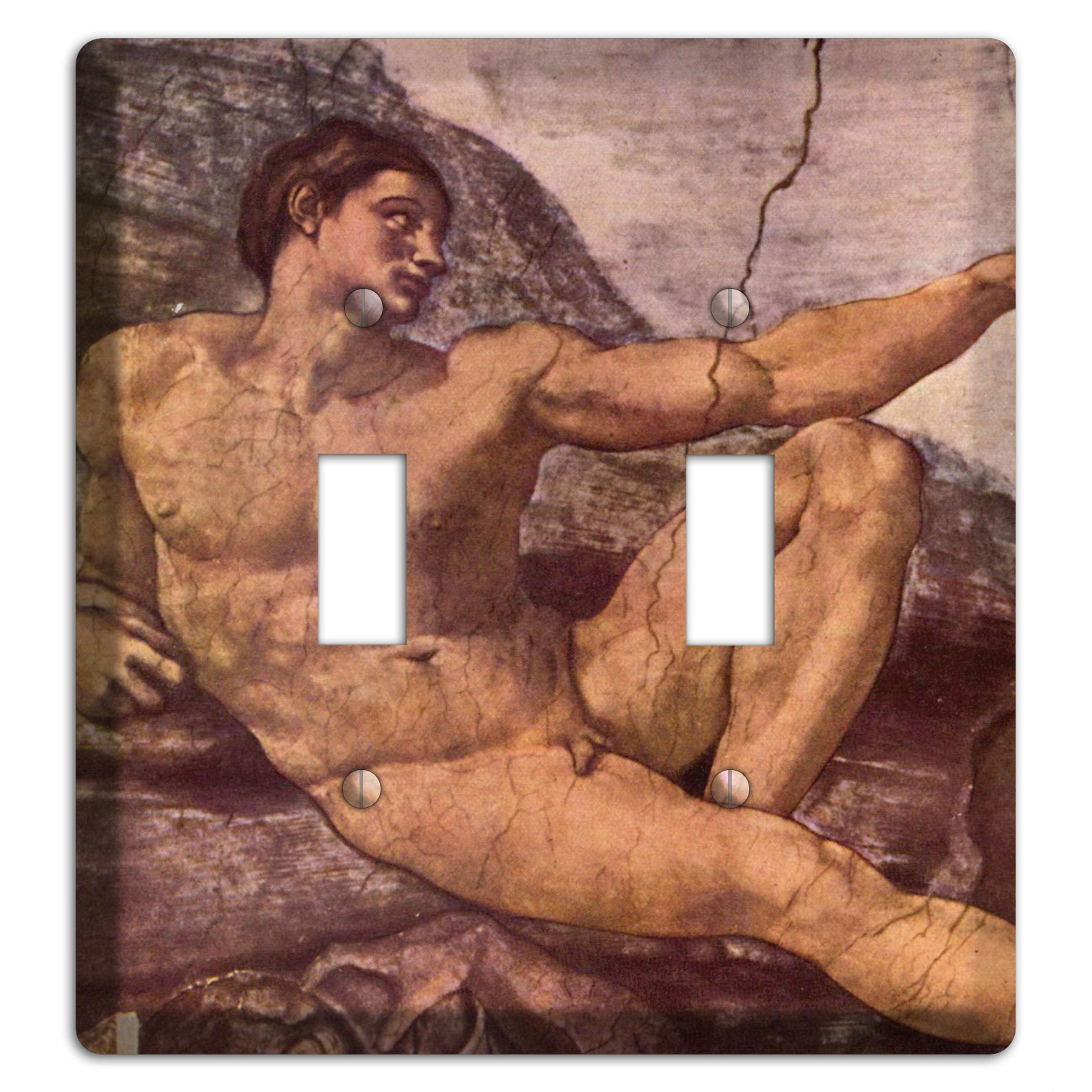 Michelangelo 2 2 Toggle Wallplate