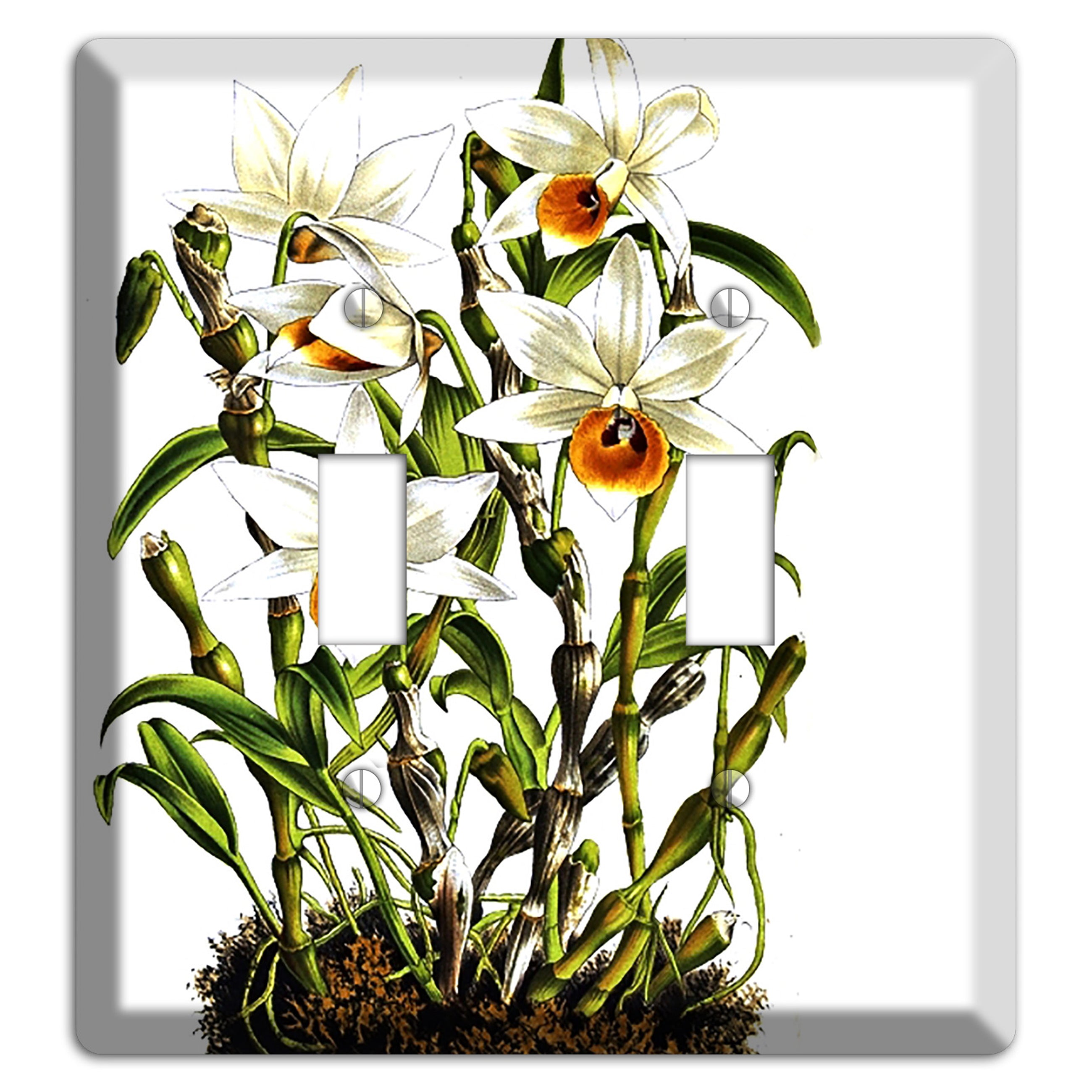 Dendrobium 2 Toggle Wallplate