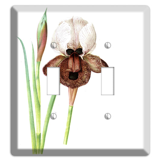 White iris 2 Toggle Wallplate