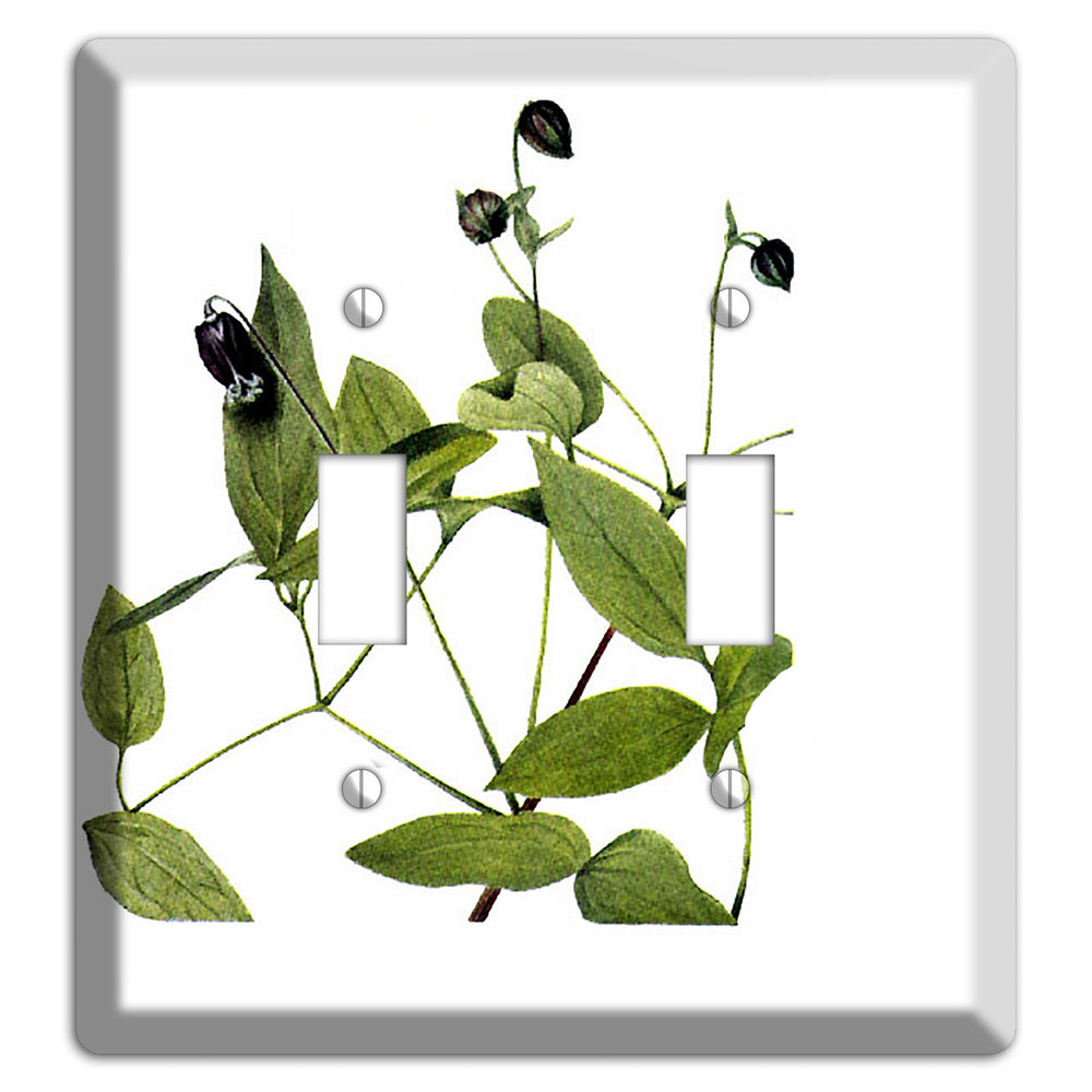 Clematis Viorna 2 Toggle Wallplate