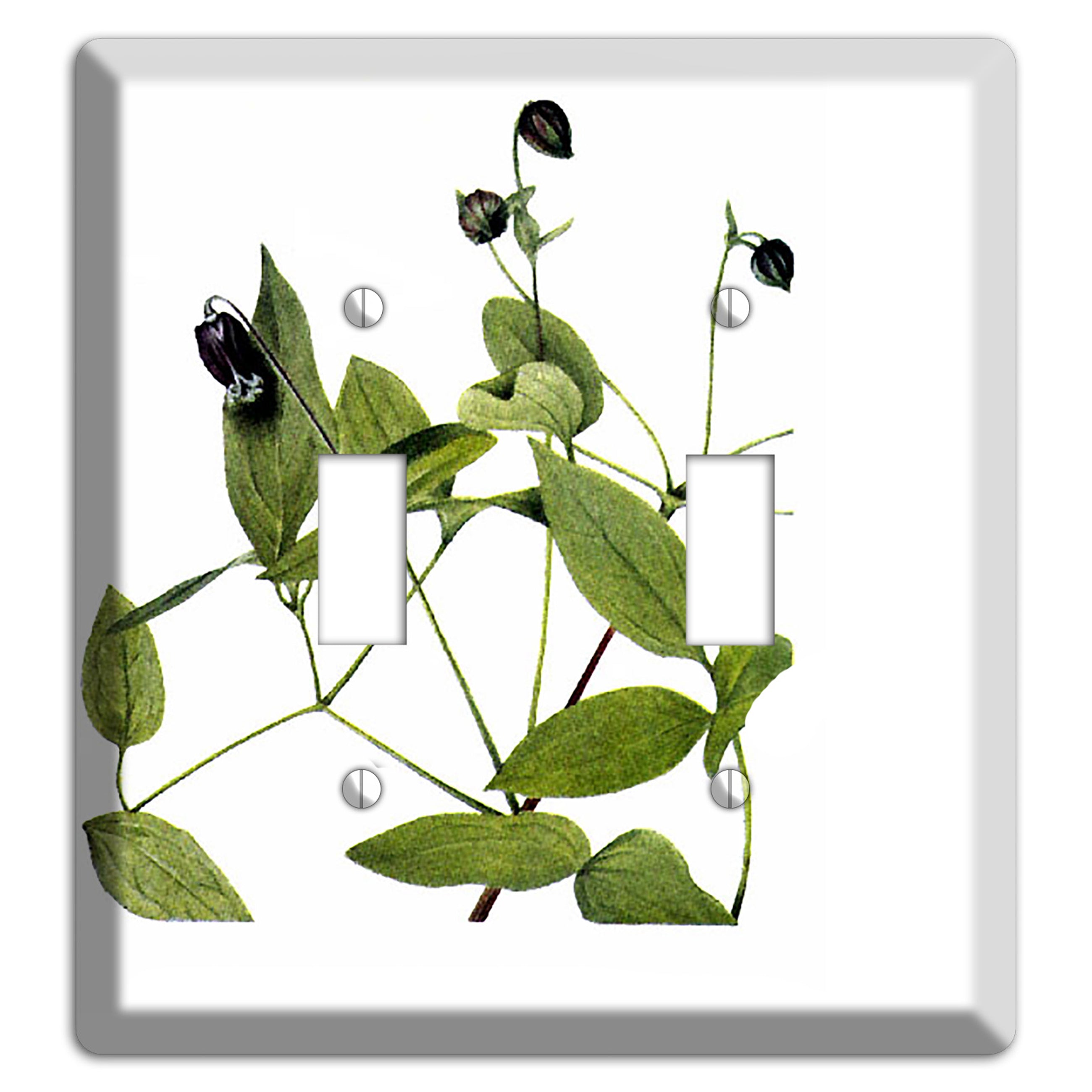 Clematis Viorna 2 Toggle Wallplate
