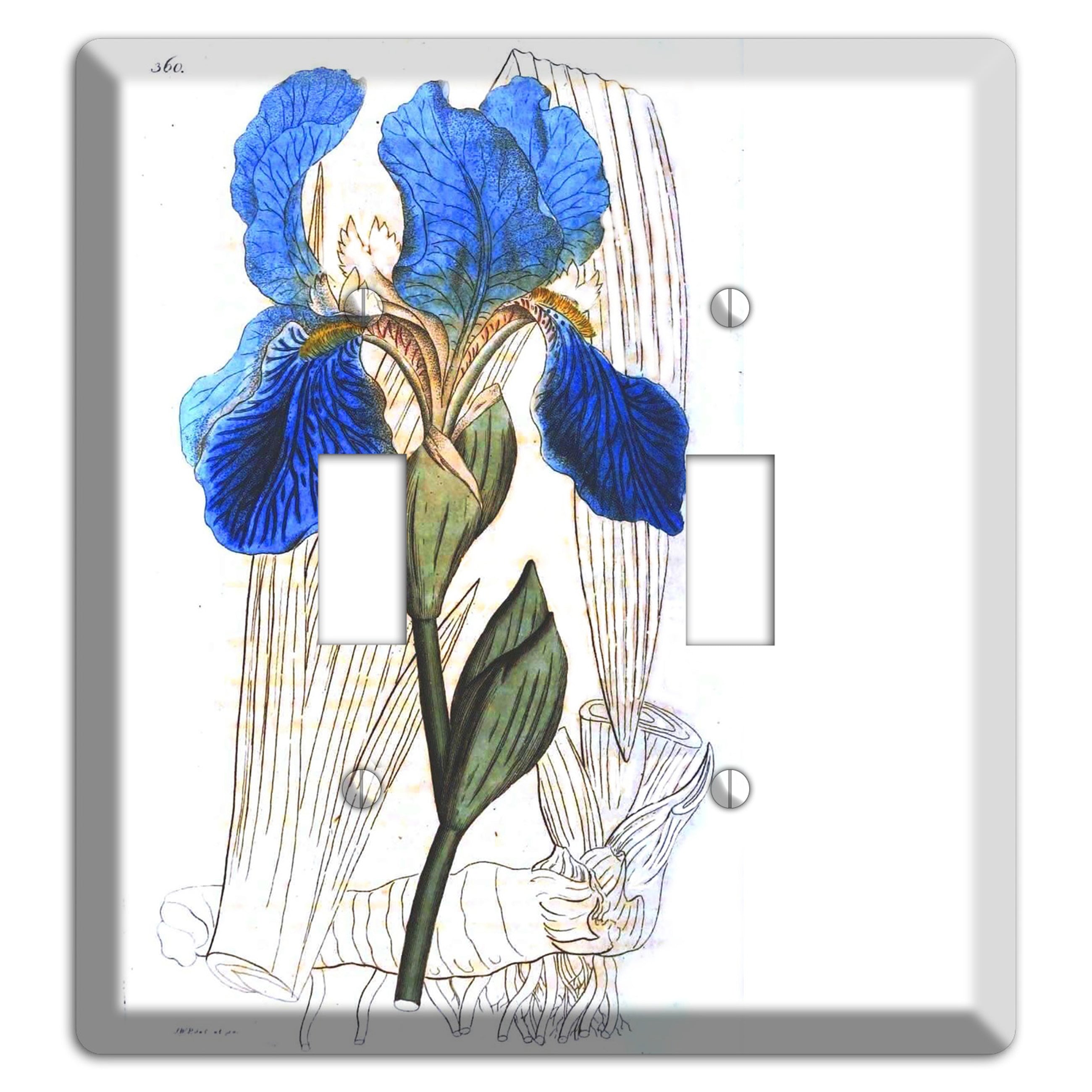 Blue Iris 2 Toggle Wallplate