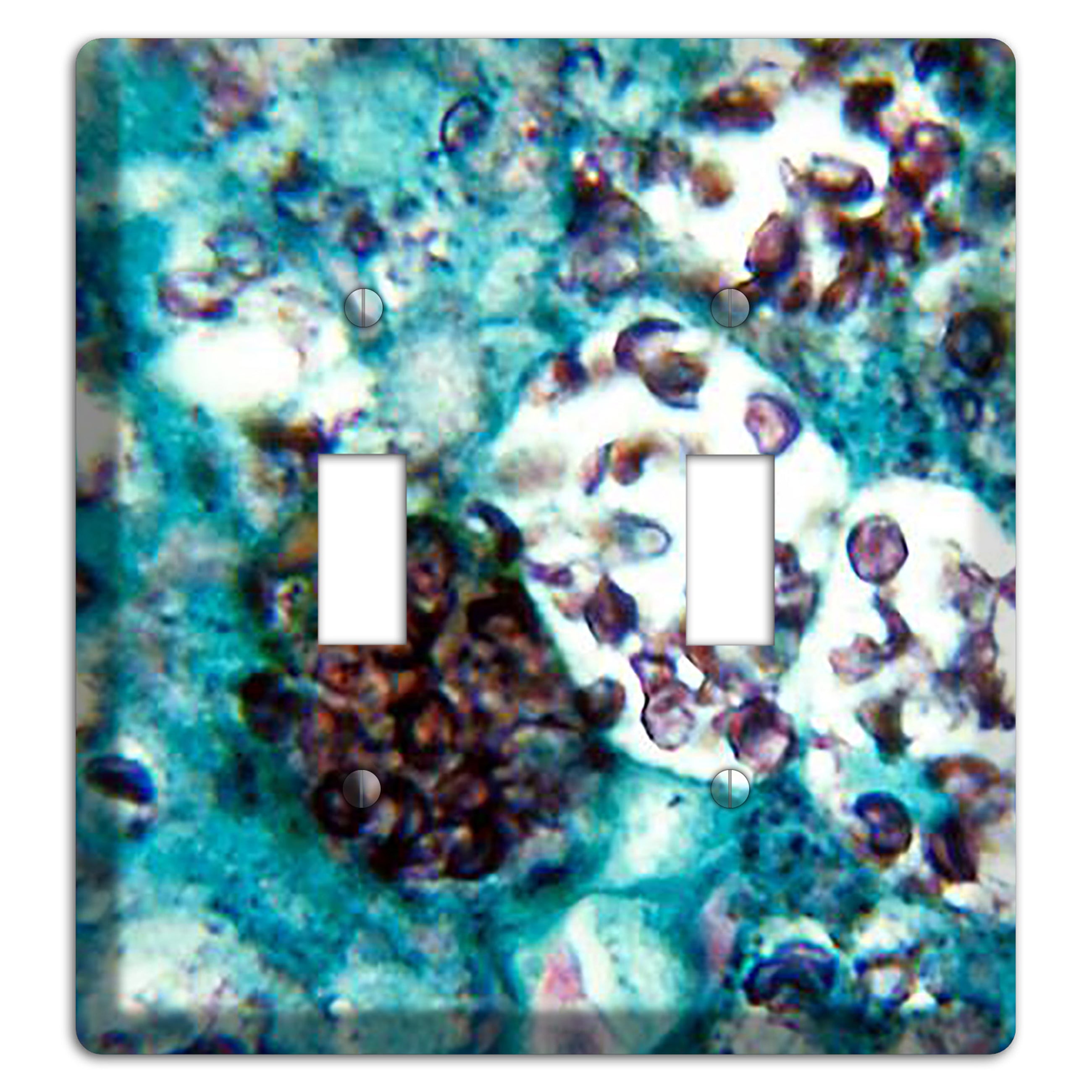 Histoplasmosis Capsulatum 2 Toggle Wallplate
