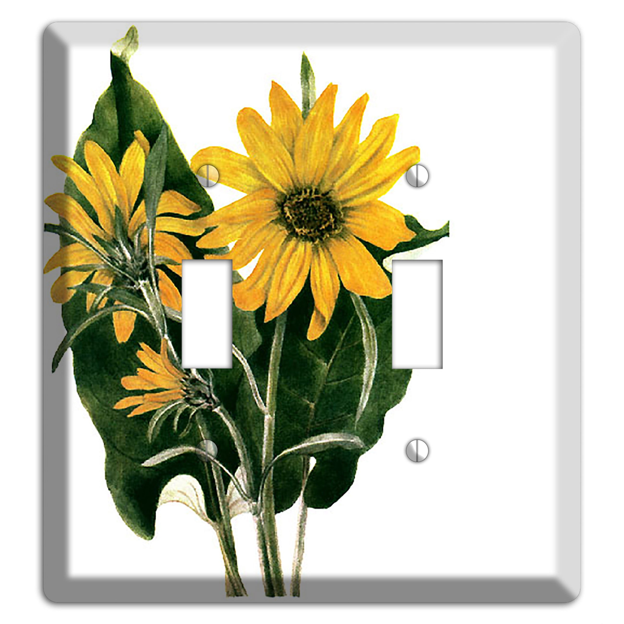 Balsamorhiza Sagittata 2 Toggle Wallplate