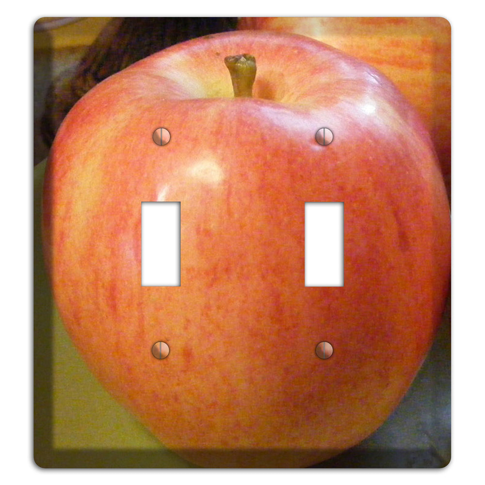 Large Apple 2 Toggle Wallplate