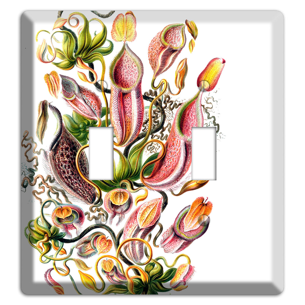 Haechel 2 Toggle Wallplate