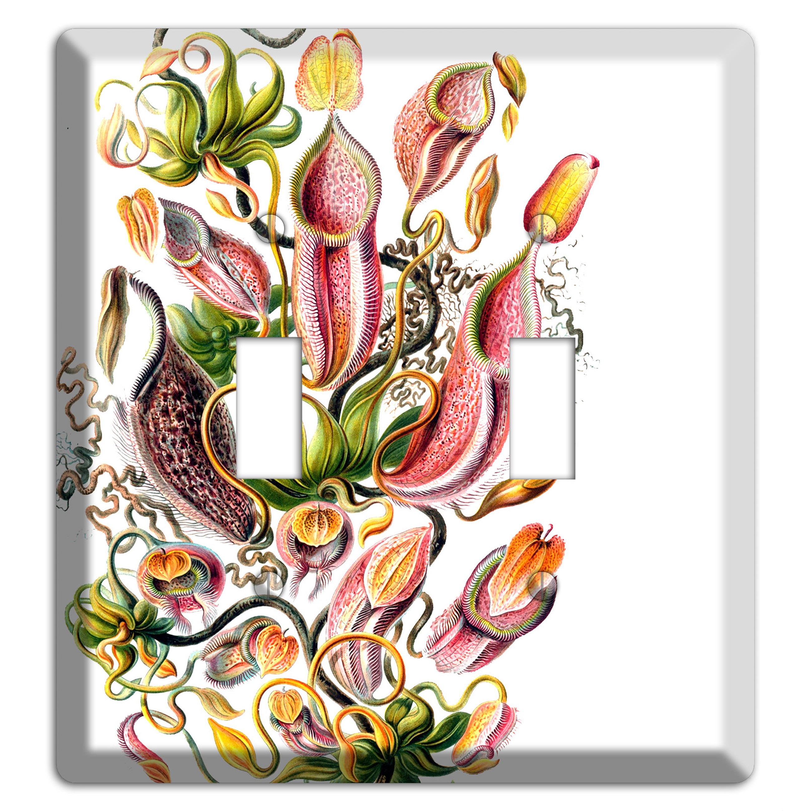 Haechel 2 Toggle Wallplate