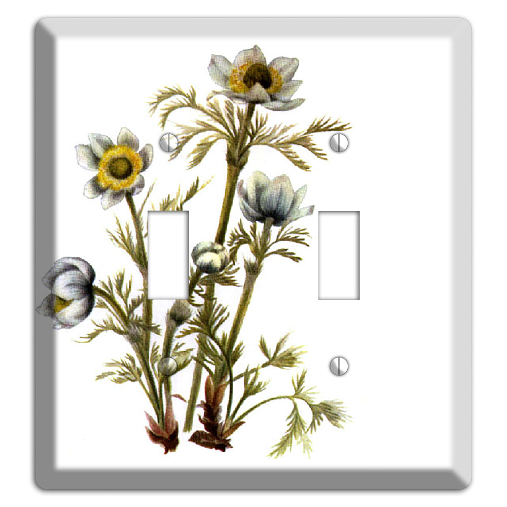 Aenmone Occitentalis 2 Toggle Wallplate