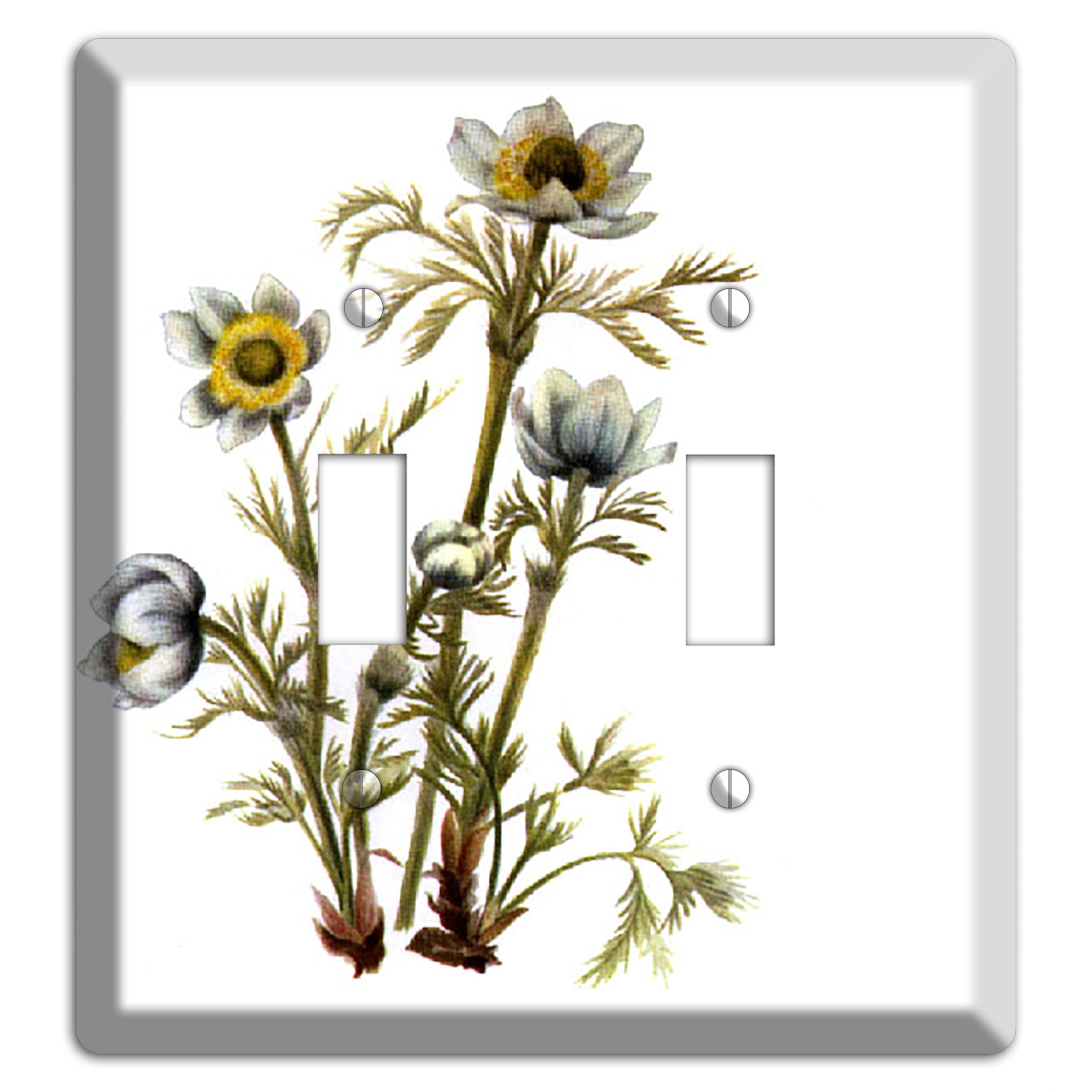 Aenmone Occitentalis 2 Toggle Wallplate