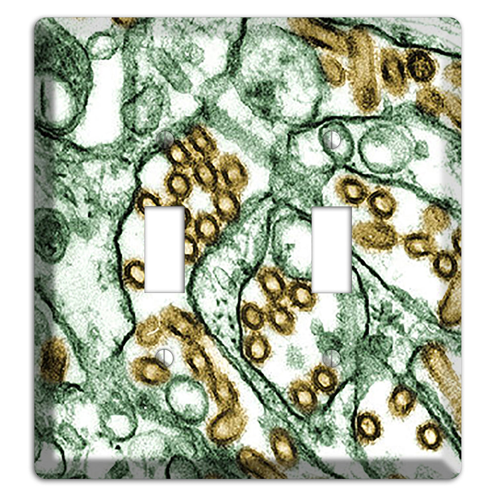 influenza A H5N1 2 Toggle Wallplate
