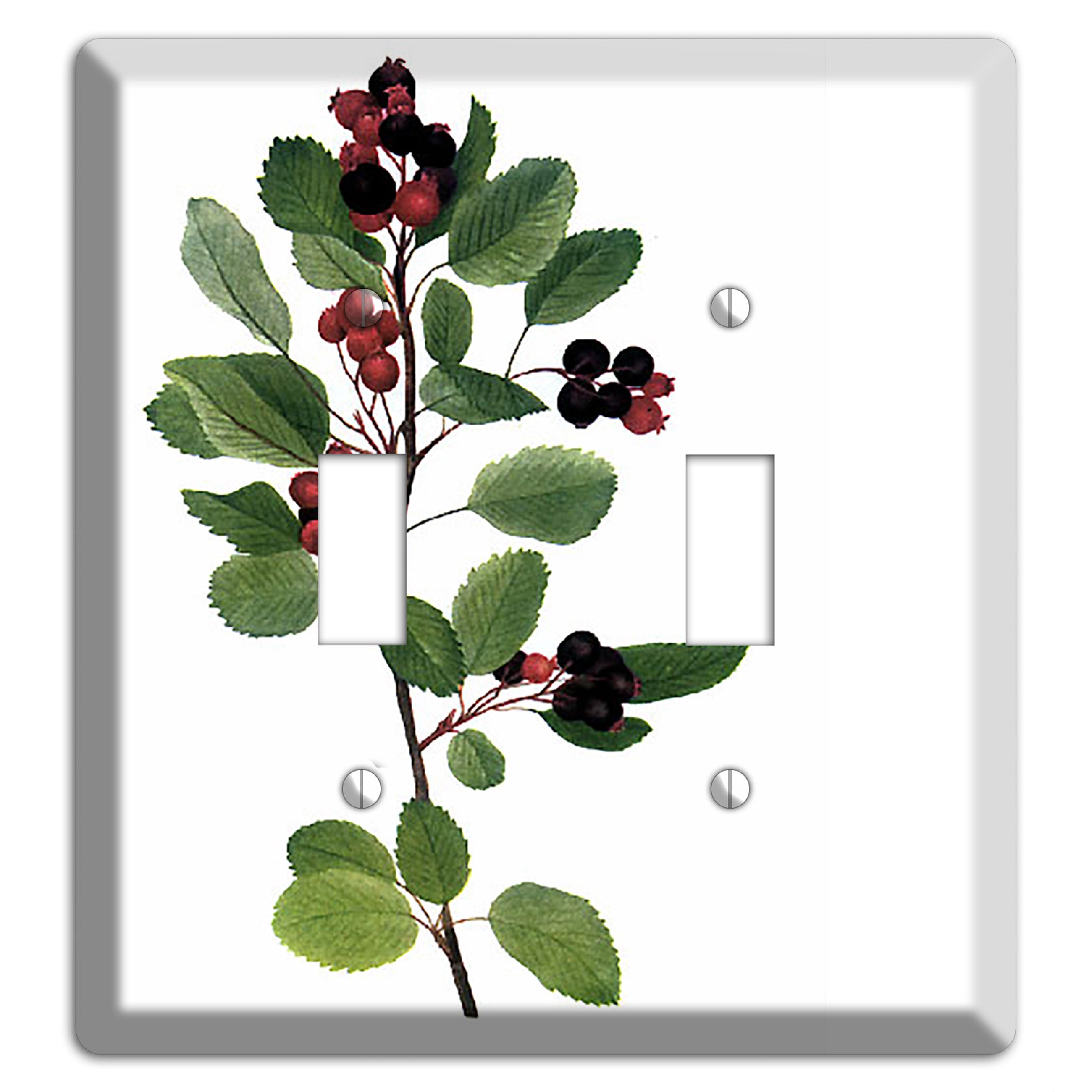 Amelanchier Ainifolia 2 Toggle Wallplate