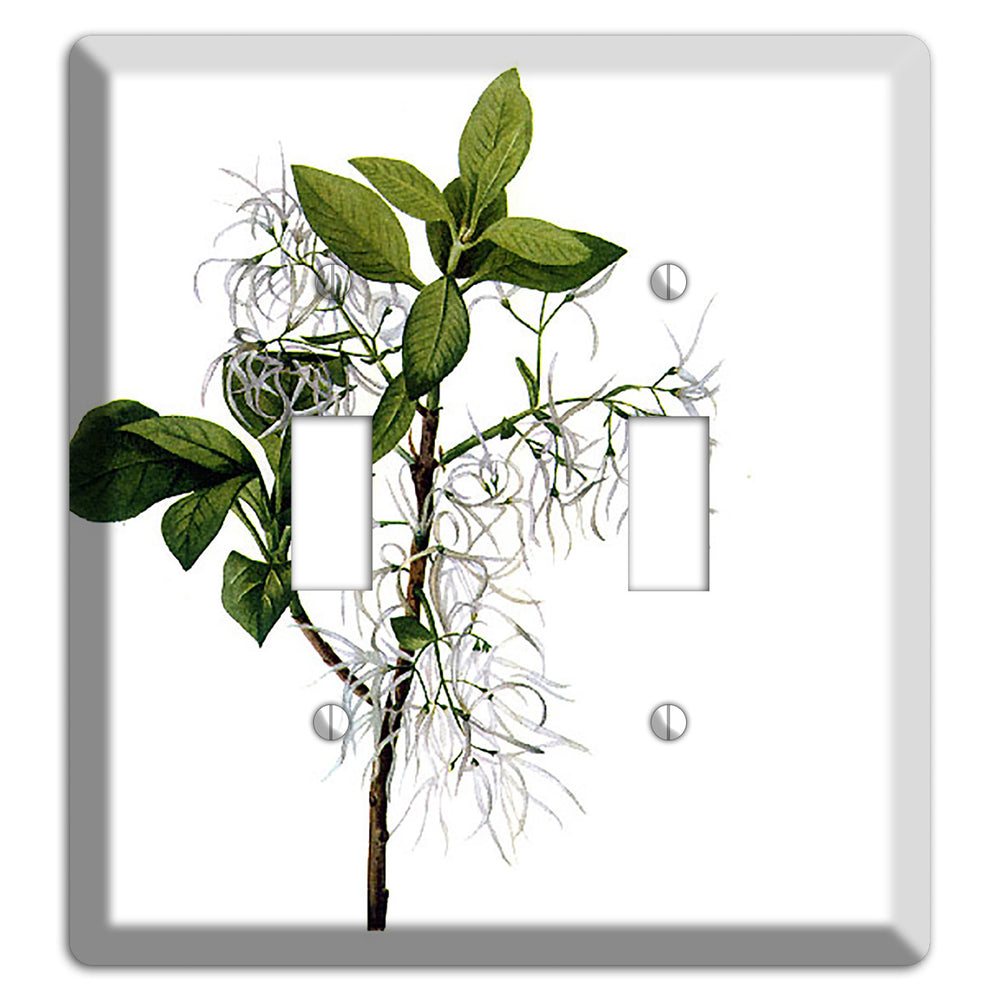 Chionathus Virginiana 2 Toggle Wallplate