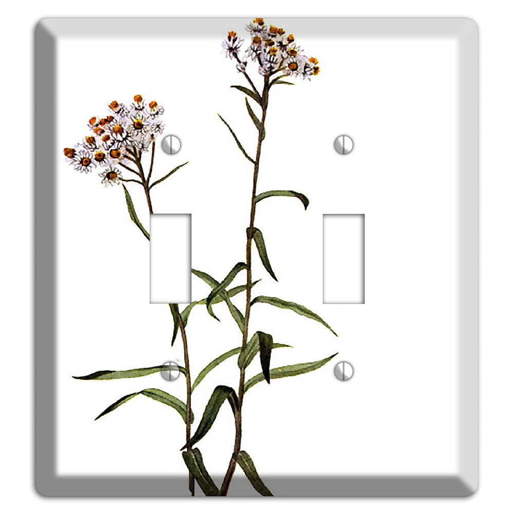 Anaphalis Margoritacea 2 Toggle Wallplate
