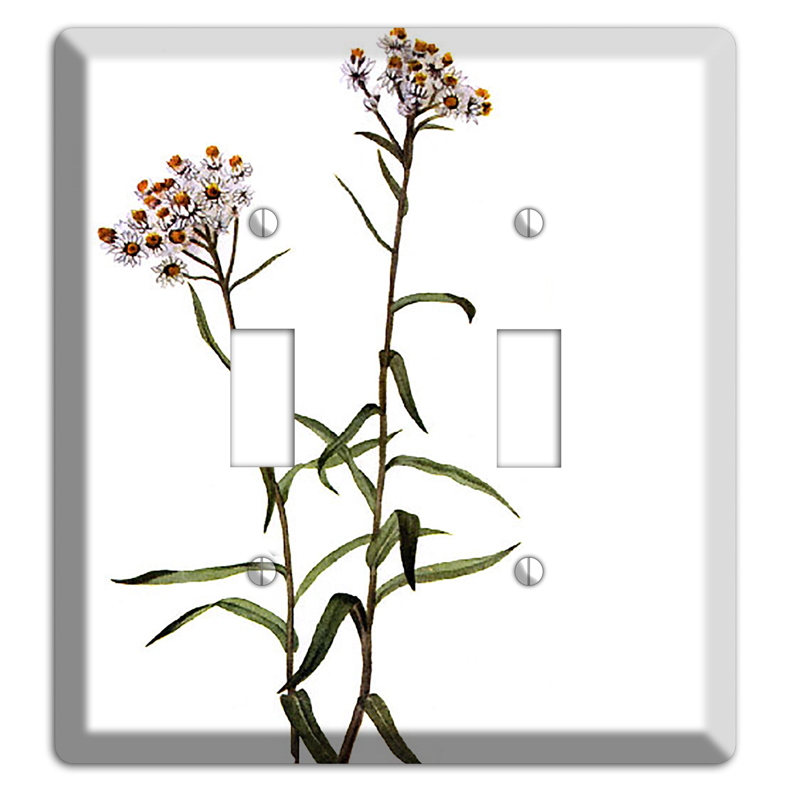 Anaphalis Margoritacea 2 Toggle Wallplate