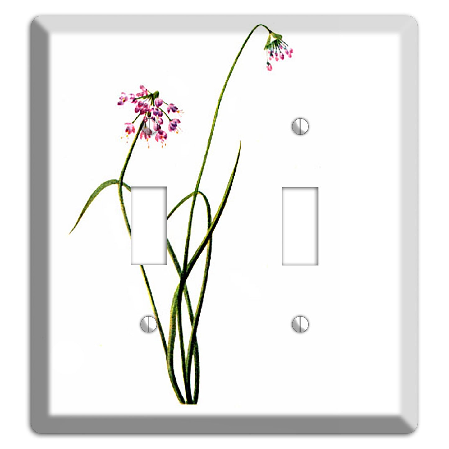 Allium Cernum 2 Toggle Wallplate
