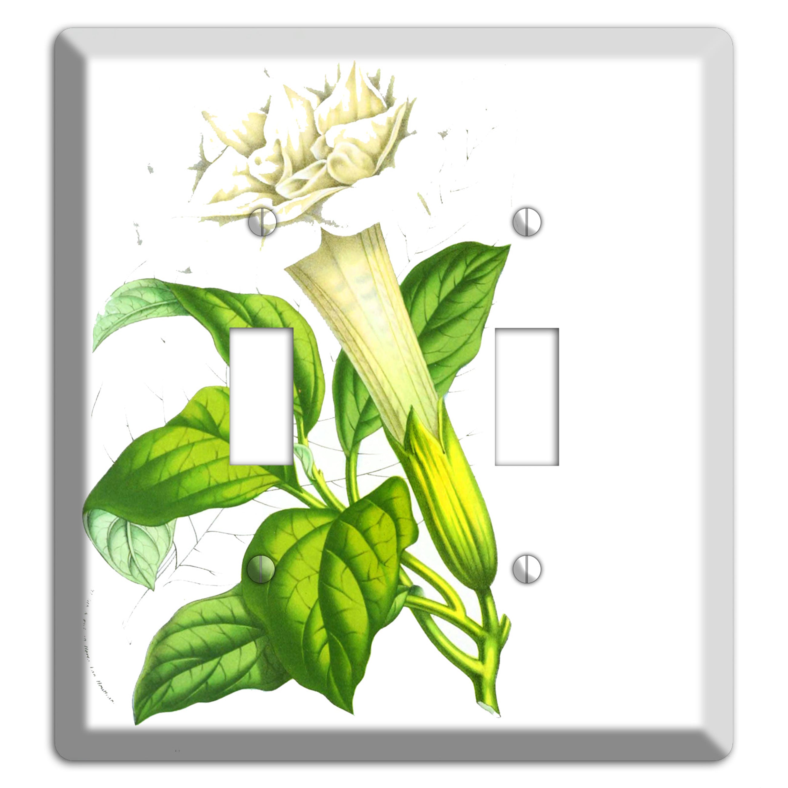Datura Fastuosa 2 Toggle Wallplate