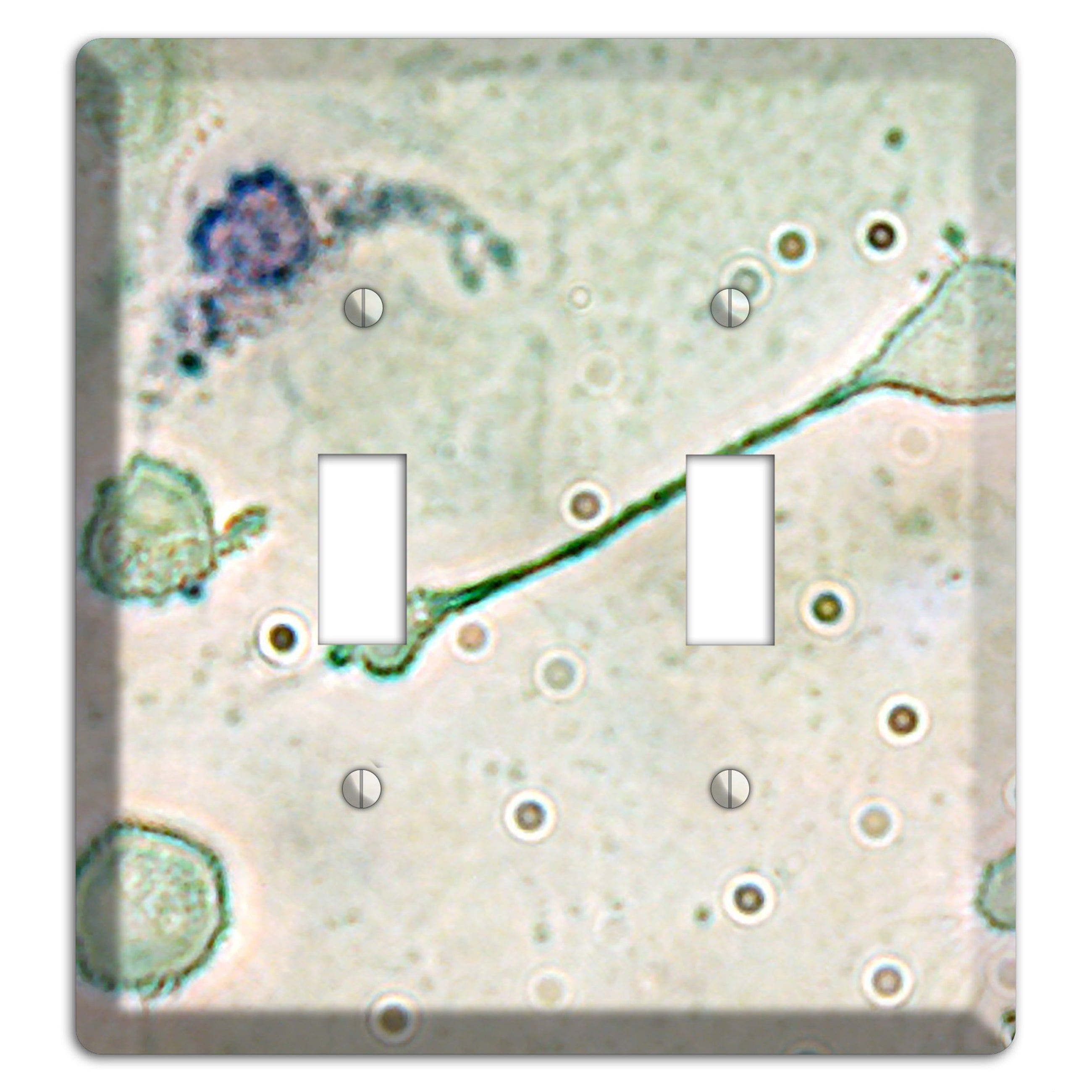 Macrophage 2 Toggle Wallplate