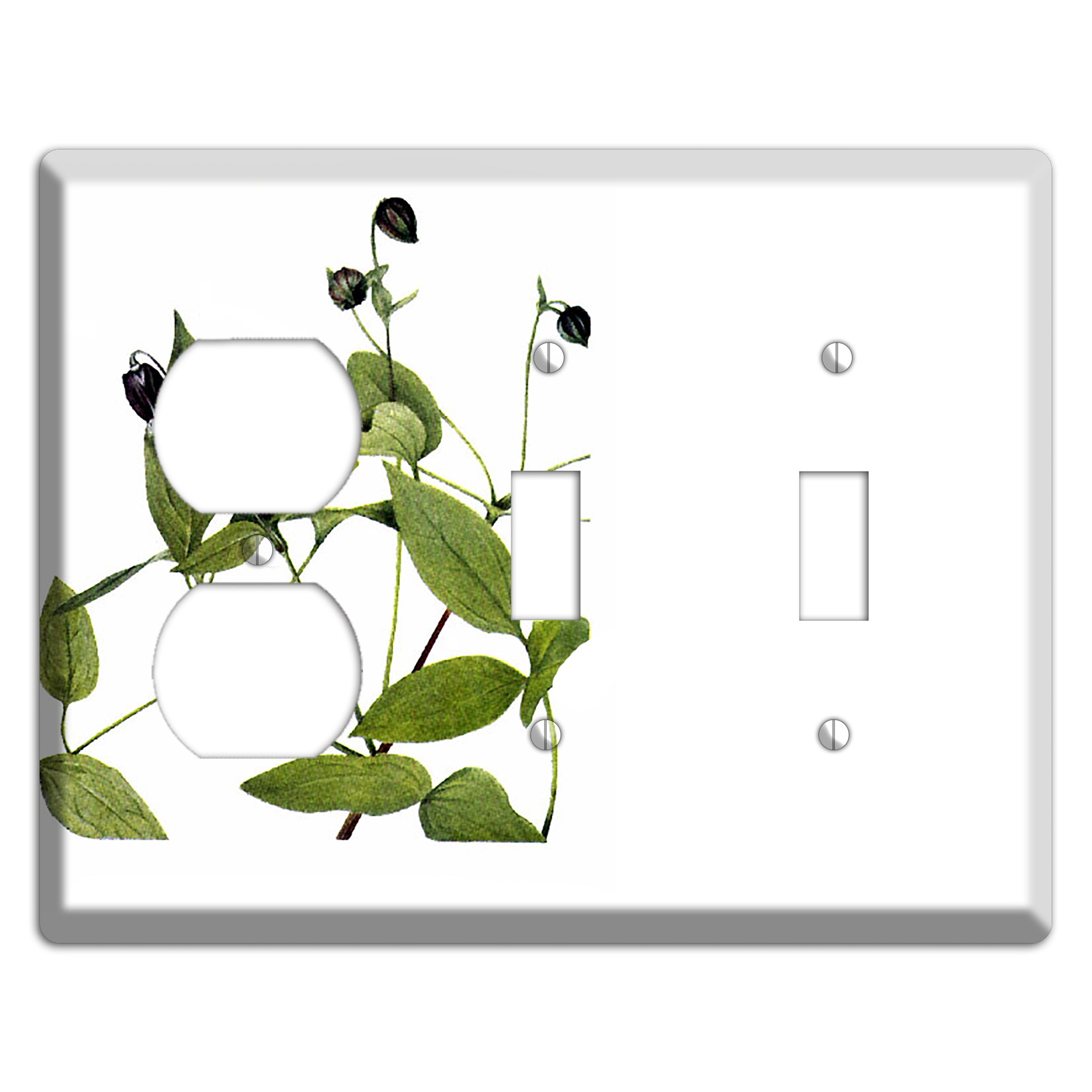 Clematis Viorna Duplex / 2 Toggle Wallplate