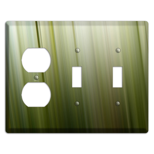 Olive Ray of Light 2 Duplex / 2 Toggle Wallplate