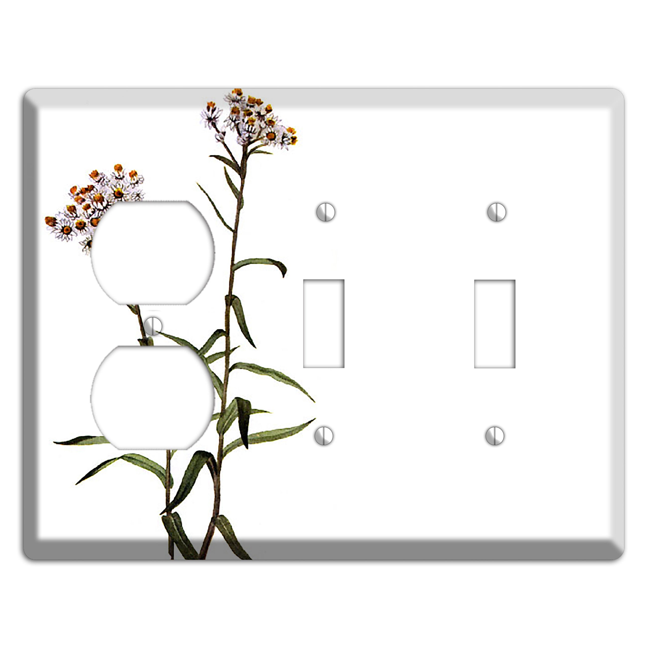 Anaphalis Margoritacea Duplex / 2 Toggle Wallplate