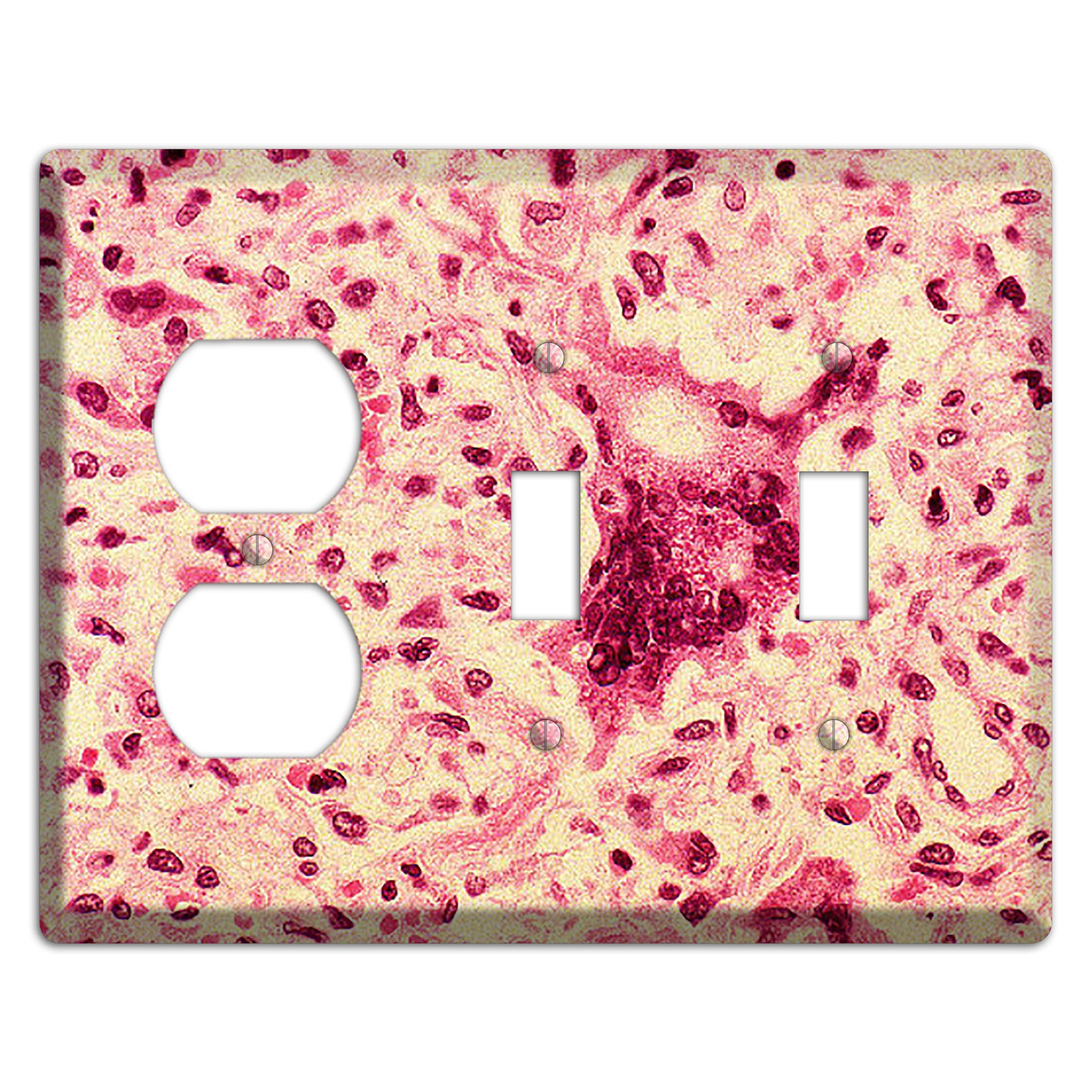 Morbillo Duplex / 2 Toggle Wallplate