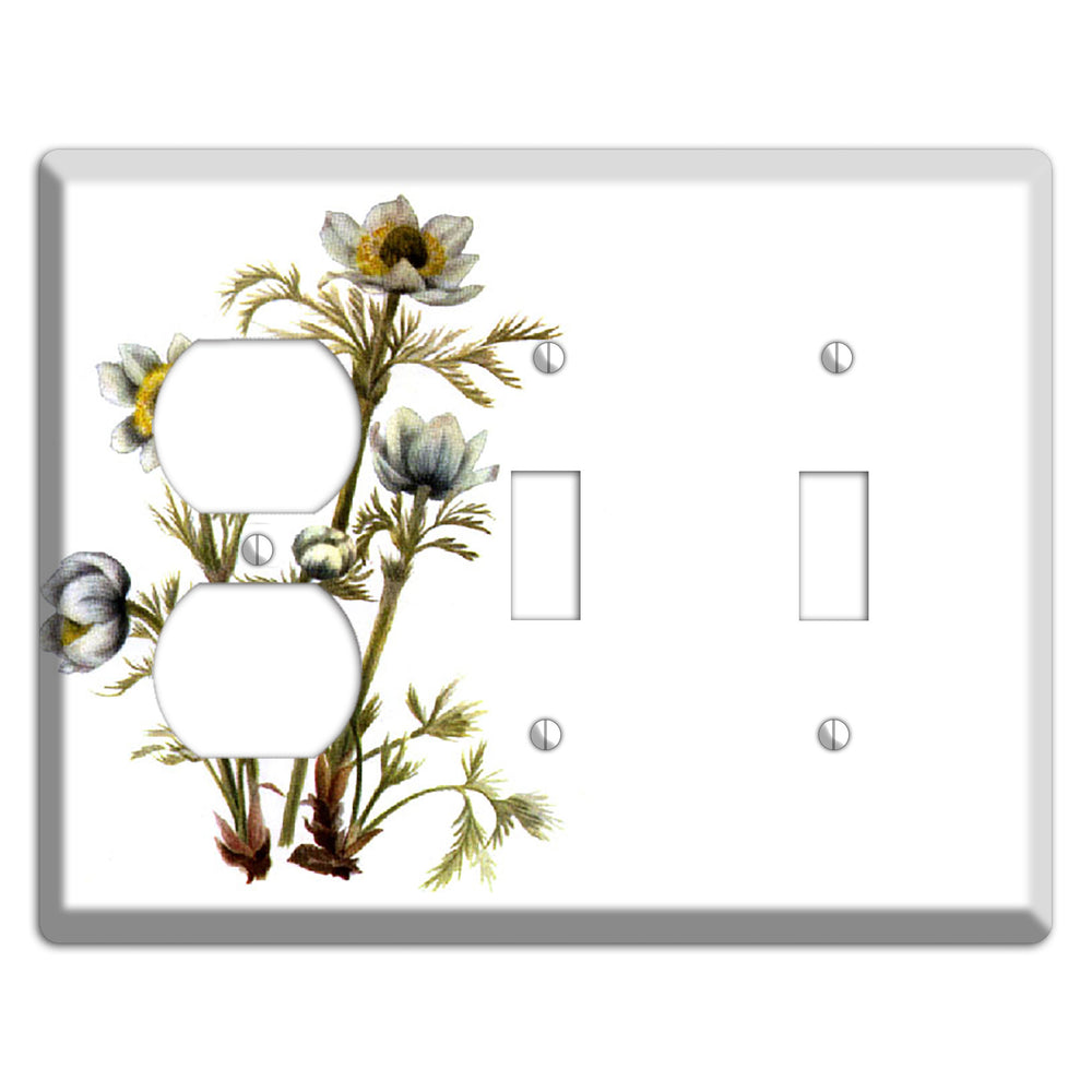 Aenmone Occitentalis Duplex / 2 Toggle Wallplate