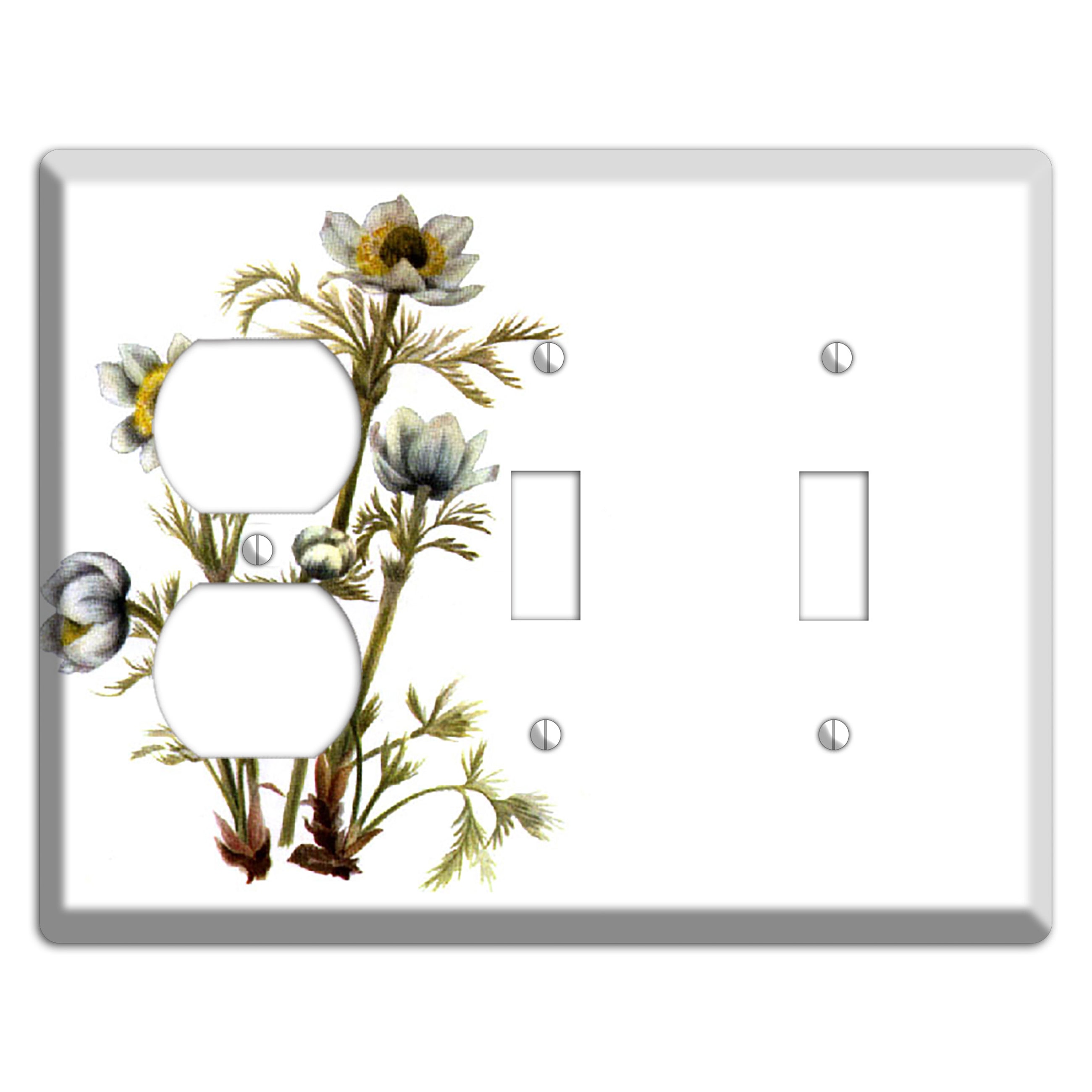 Aenmone Occitentalis Duplex / 2 Toggle Wallplate