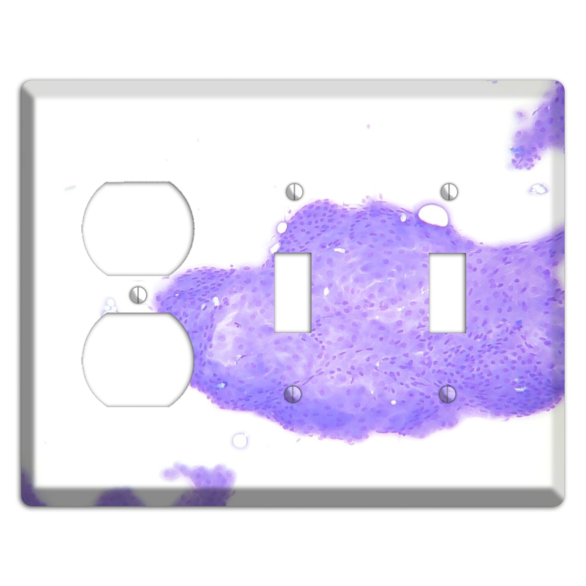 Perianal Gland Tumor Cytology Duplex / 2 Toggle Wallplate