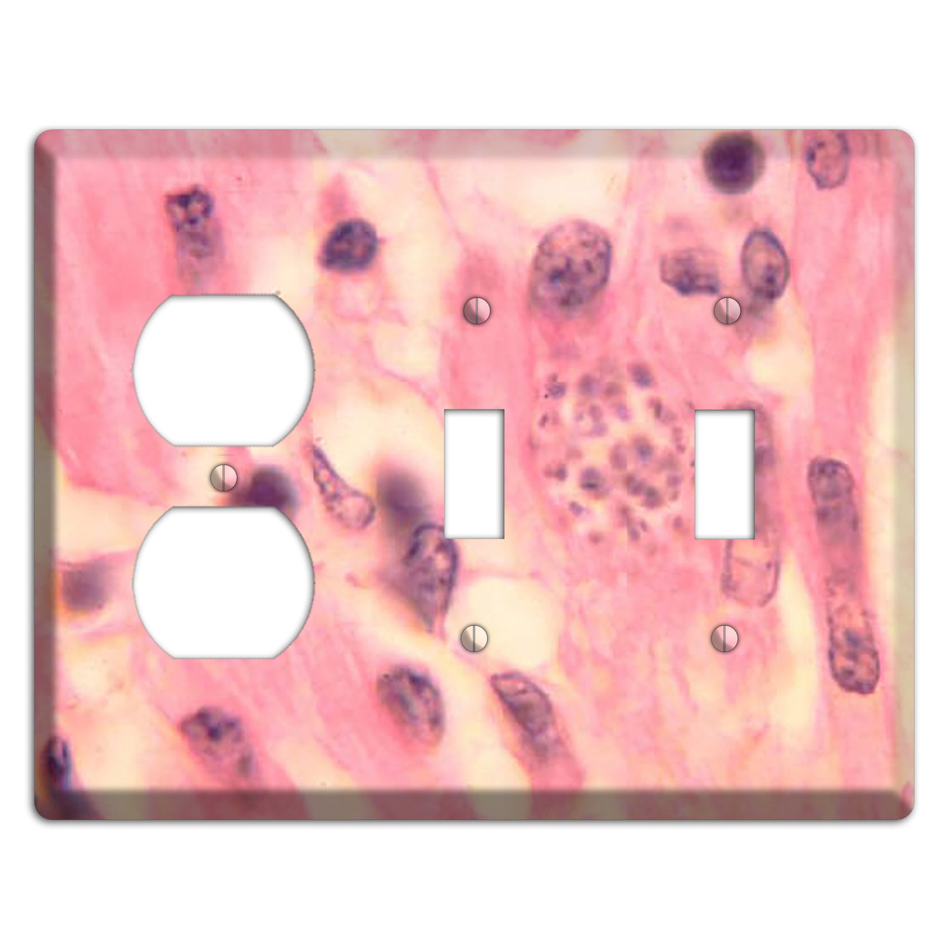 Trypanosoma Cruzi Heart Duplex / 2 Toggle Wallplate