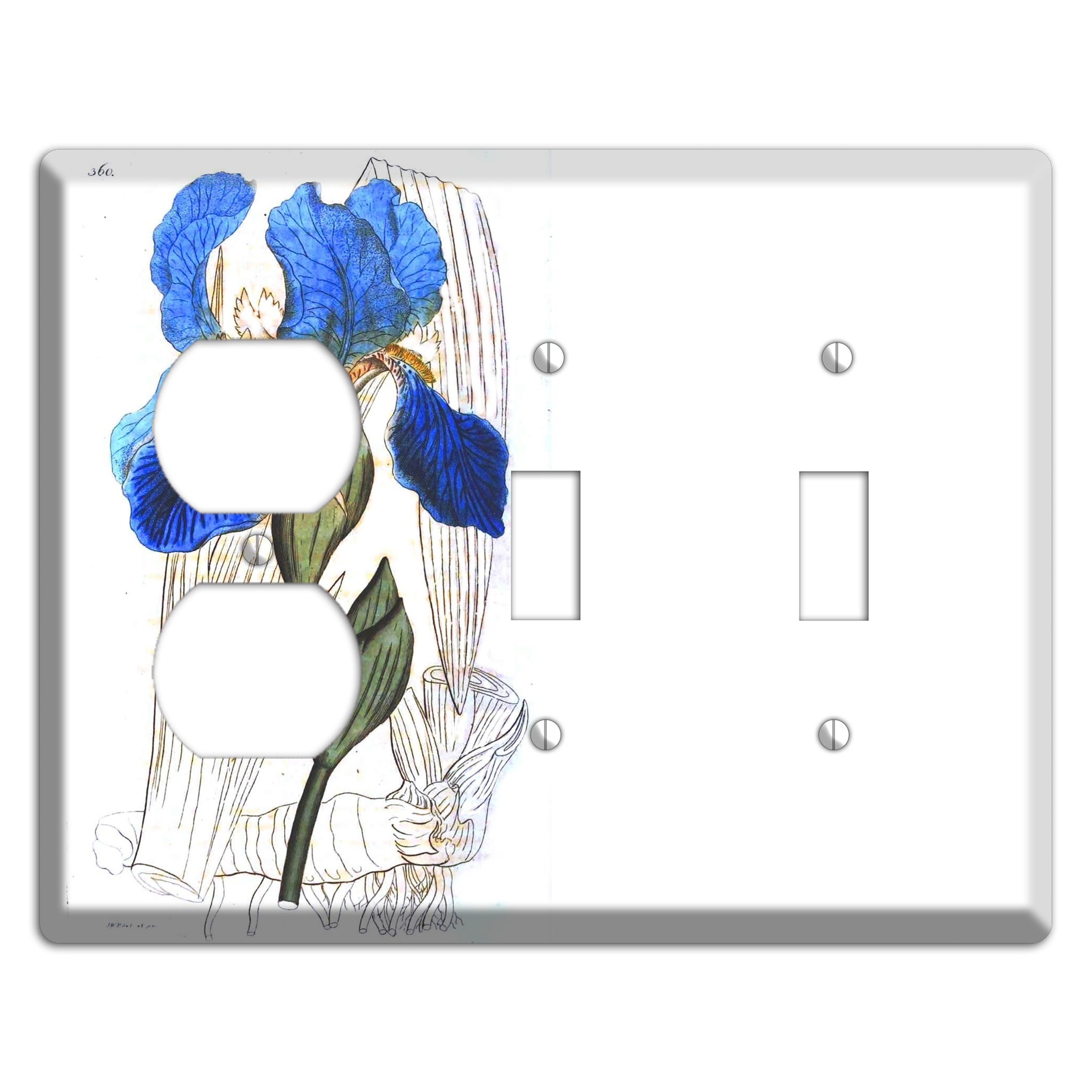 Blue Iris Duplex / 2 Toggle Wallplate