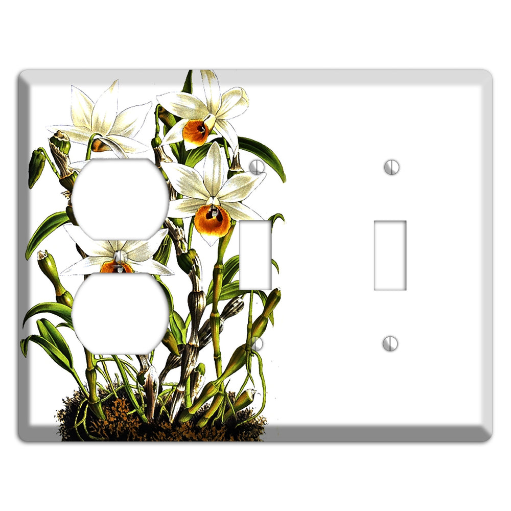 Dendrobium Duplex / 2 Toggle Wallplate