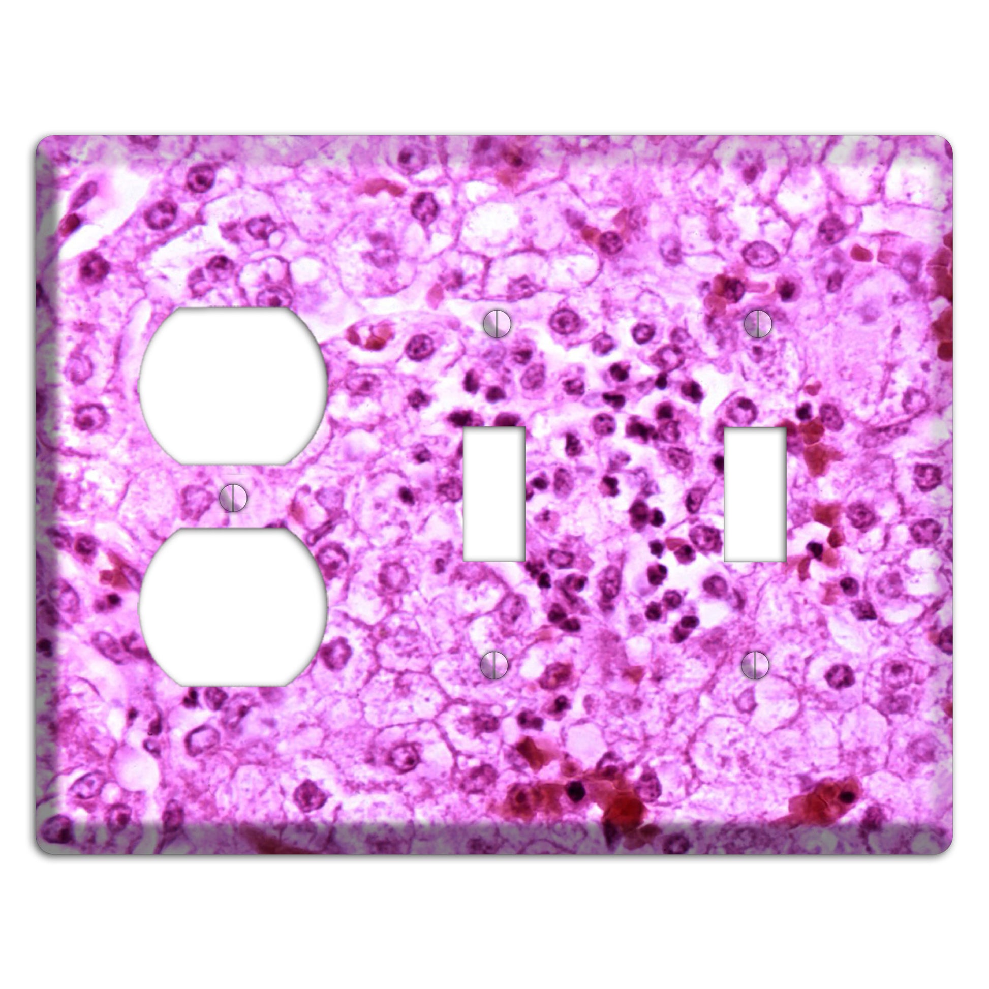 Lores Duplex / 2 Toggle Wallplate