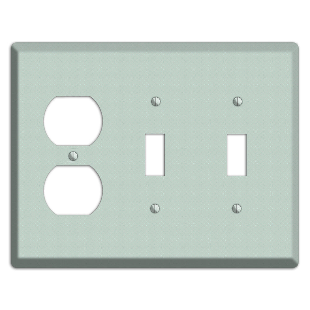 Sage with Tiny Dots Duplex / 2 Toggle Wallplate
