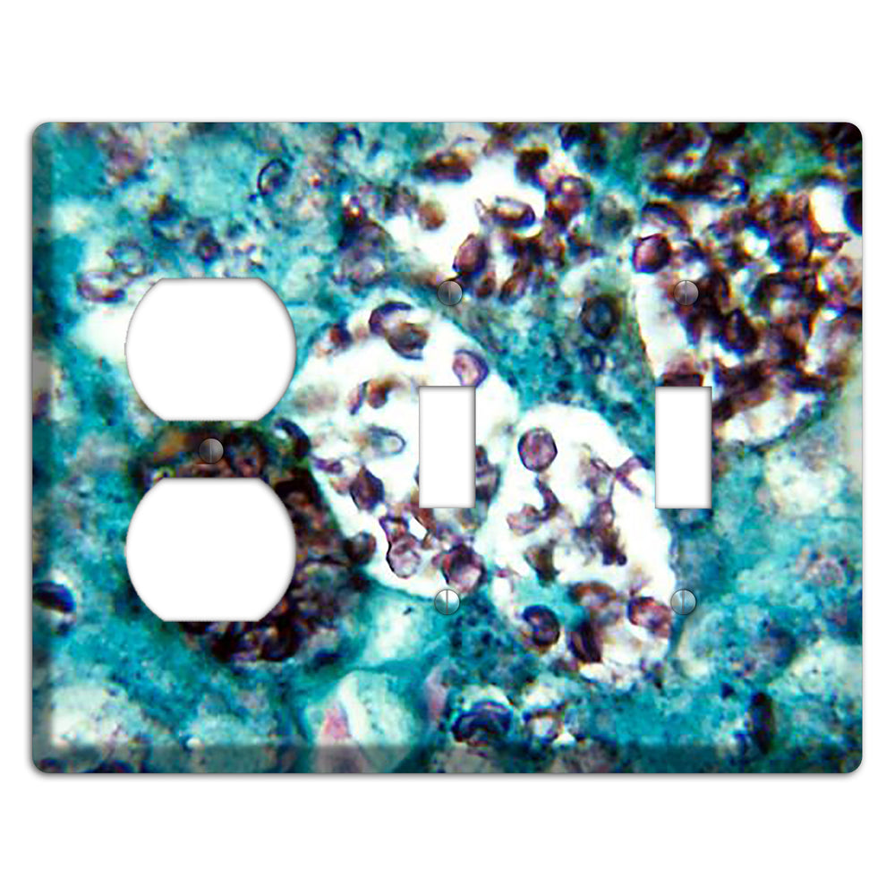 Histoplasmosis Capsulatum Duplex / 2 Toggle Wallplate