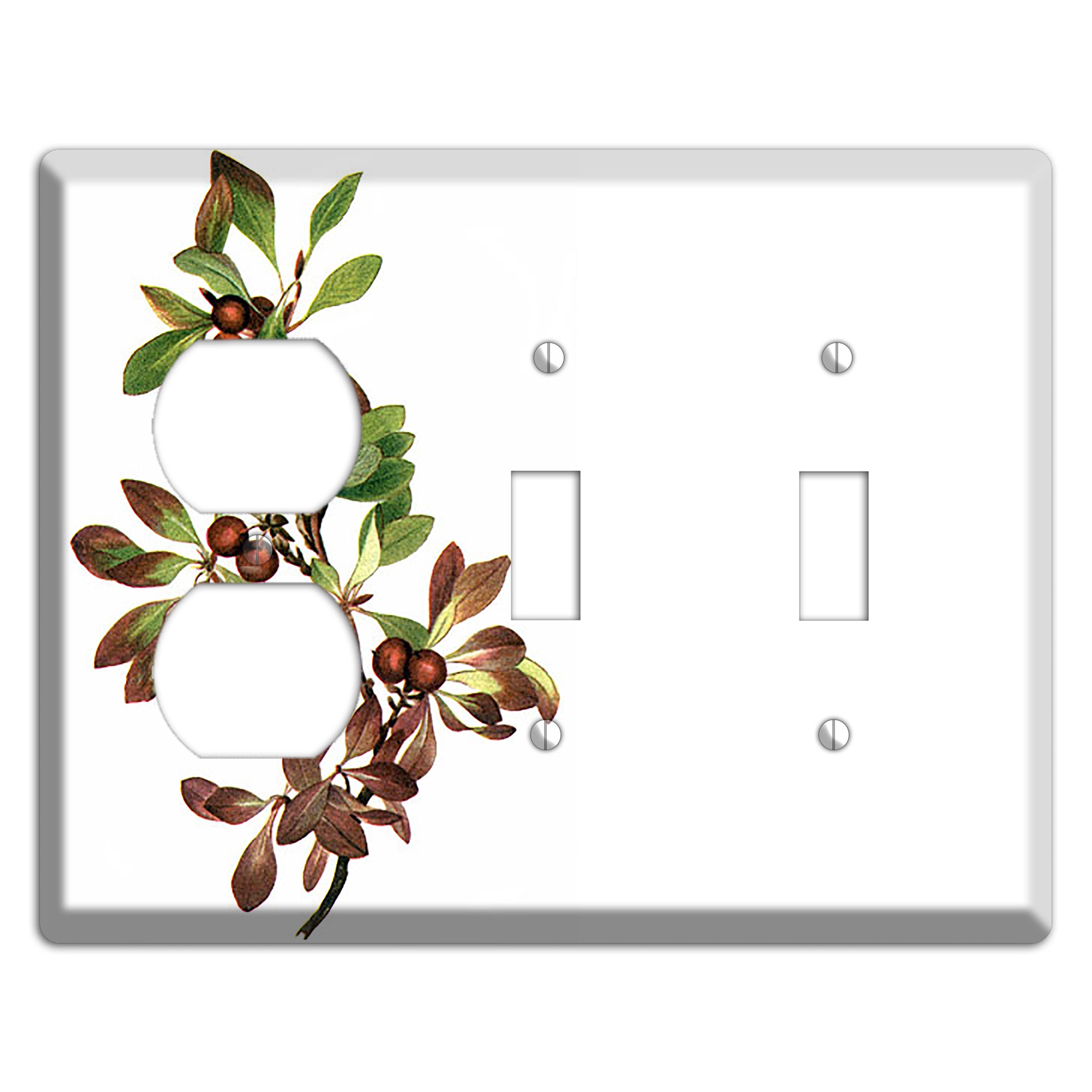 Arietustaphylos Alpha Duplex / 2 Toggle Wallplate
