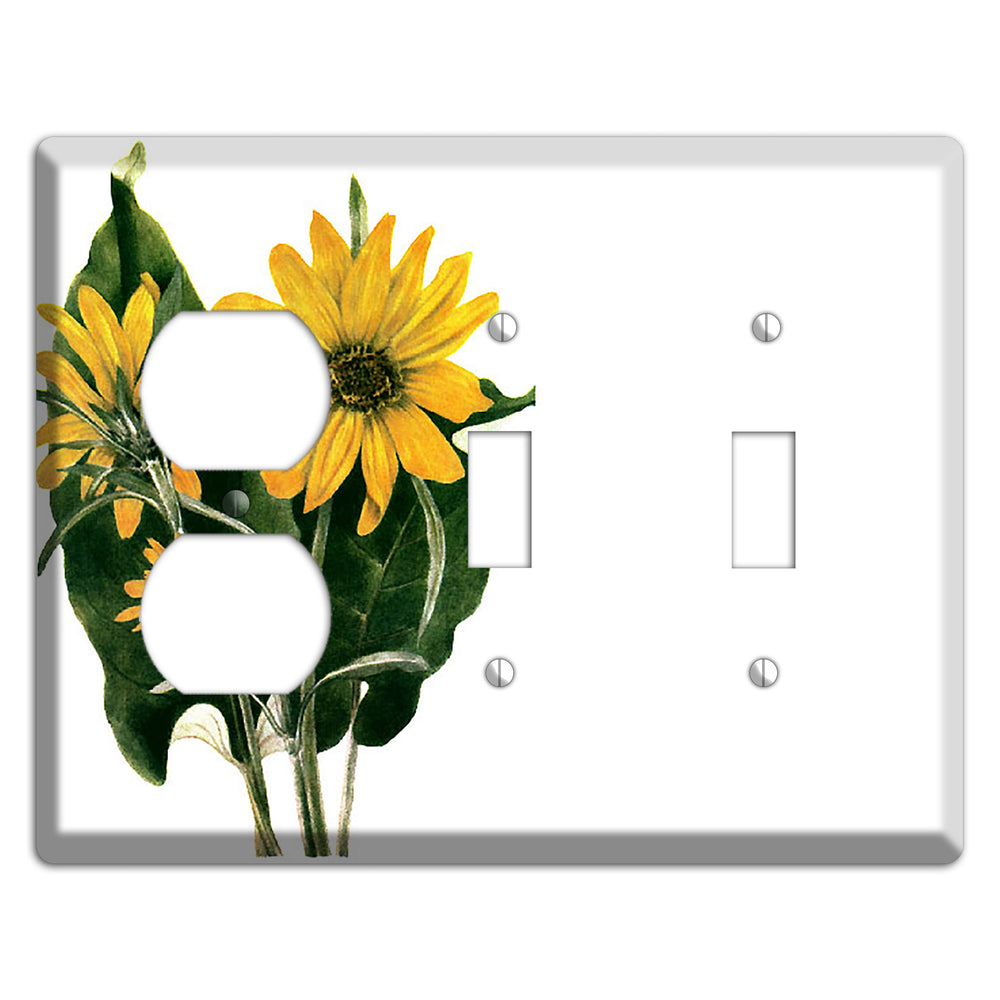 Balsamorhiza Sagittata Duplex / 2 Toggle Wallplate