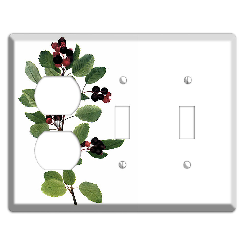 Amelanchier Ainifolia Duplex / 2 Toggle Wallplate