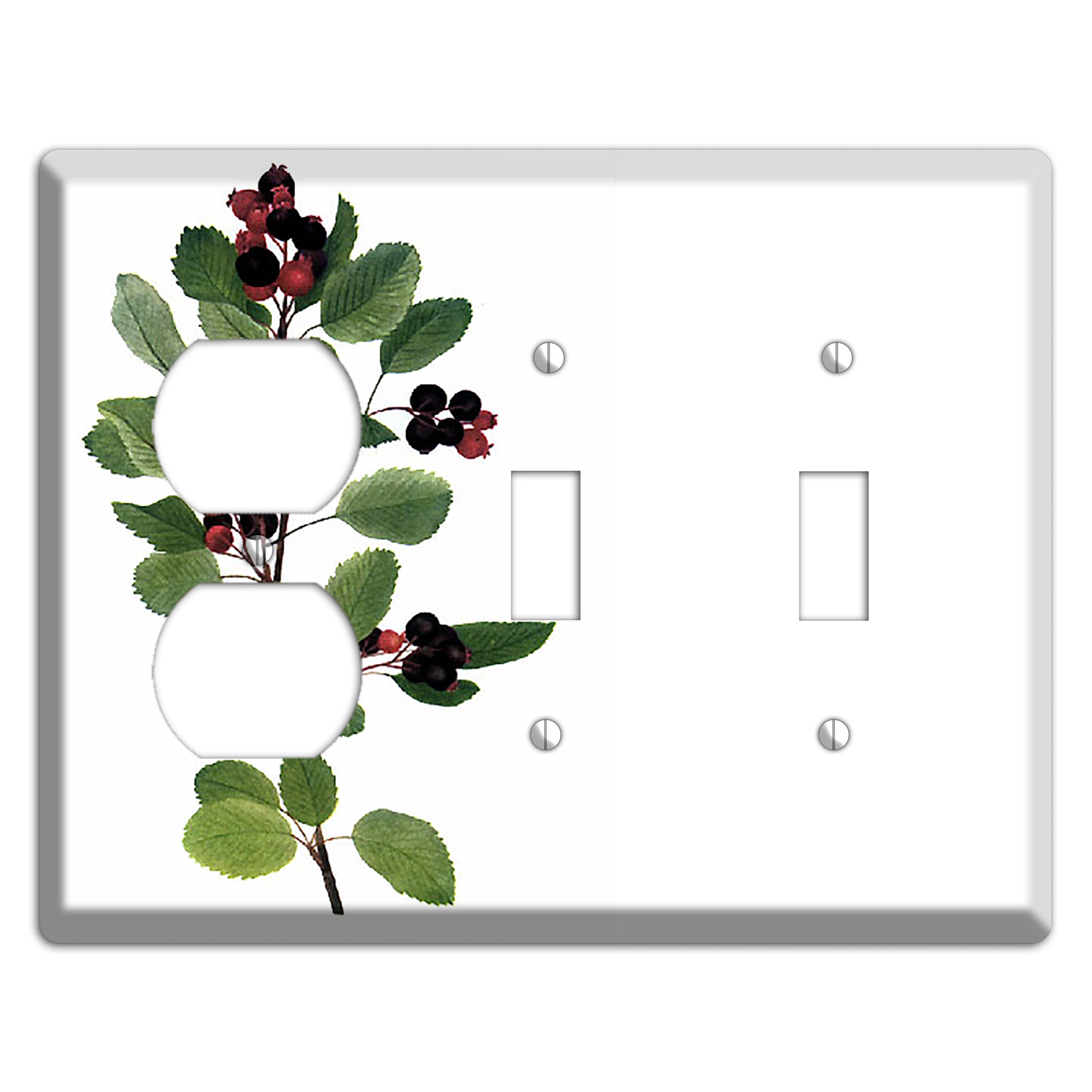 Amelanchier Ainifolia Duplex / 2 Toggle Wallplate