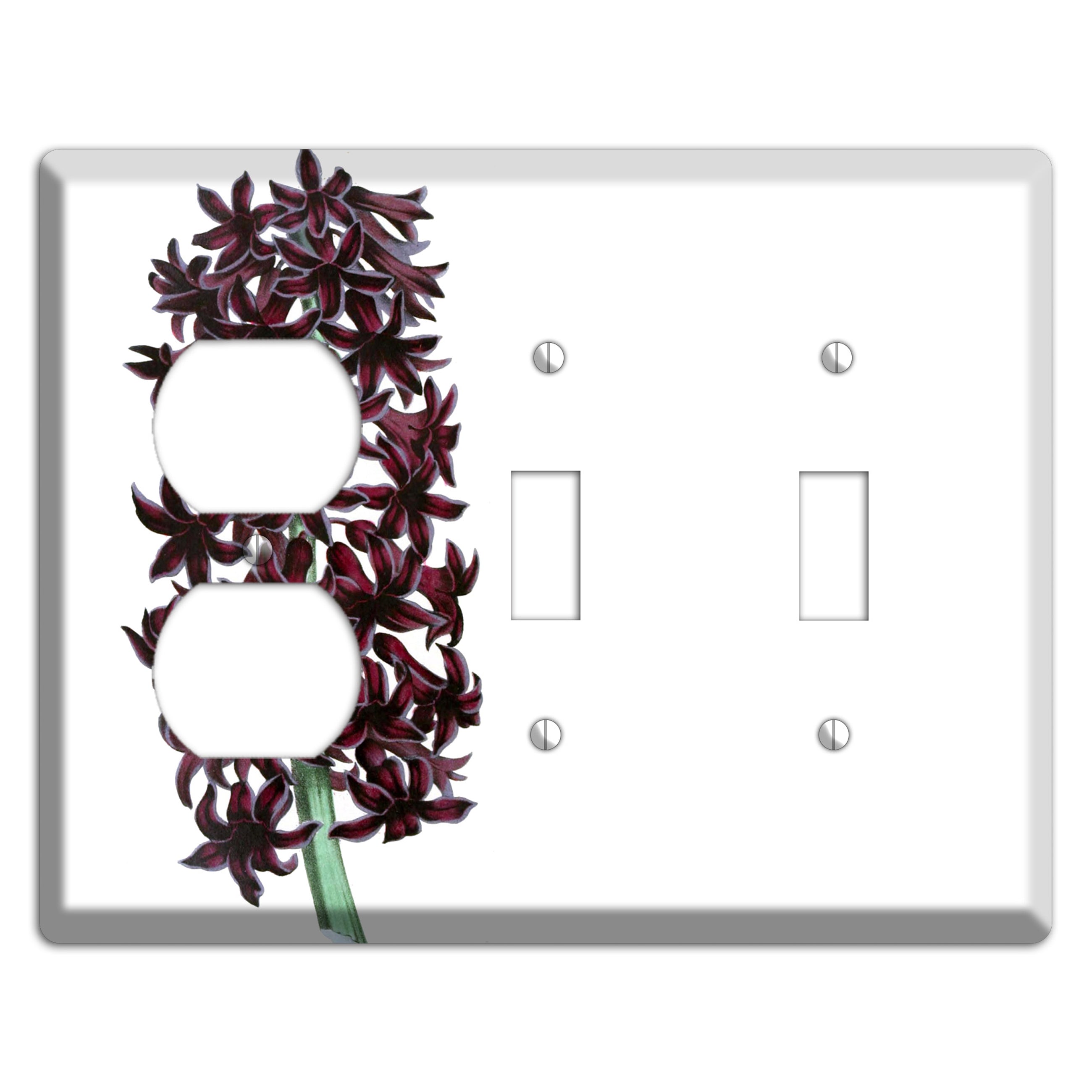 Jacinth Duplex / 2 Toggle Wallplate