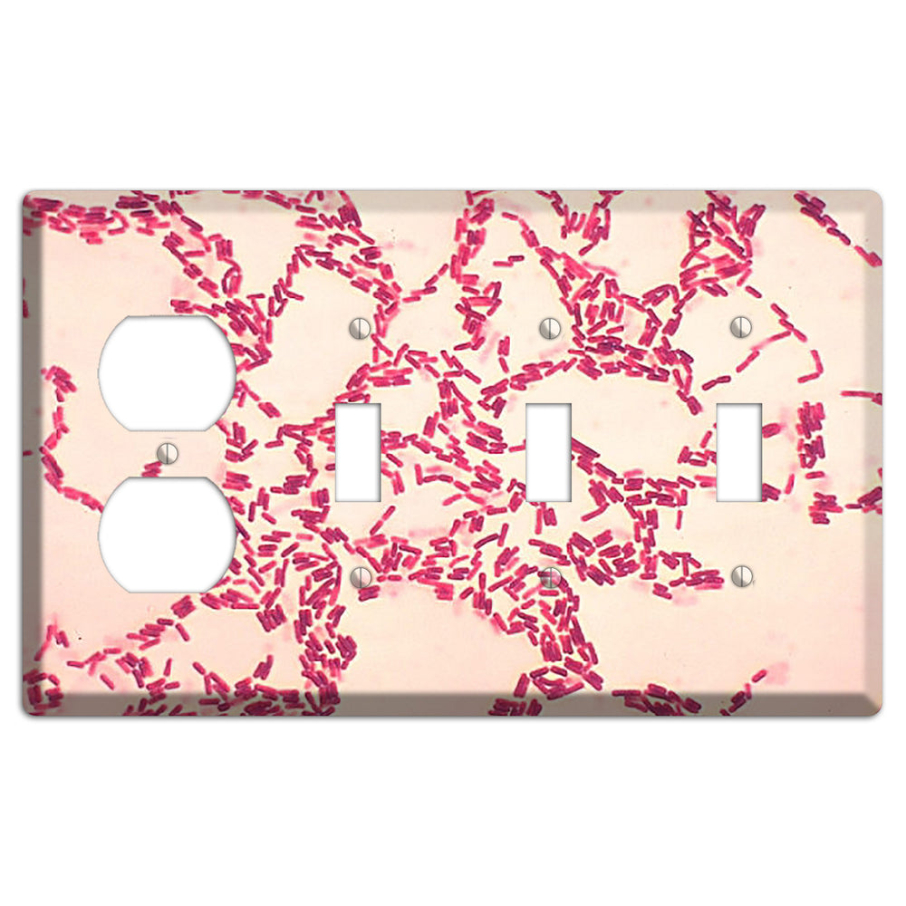 Bacillus Coagulans Duplex / 3 Toggle Wallplate