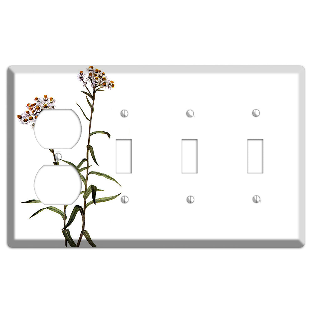 Anaphalis Margoritacea Duplex / 3 Toggle Wallplate