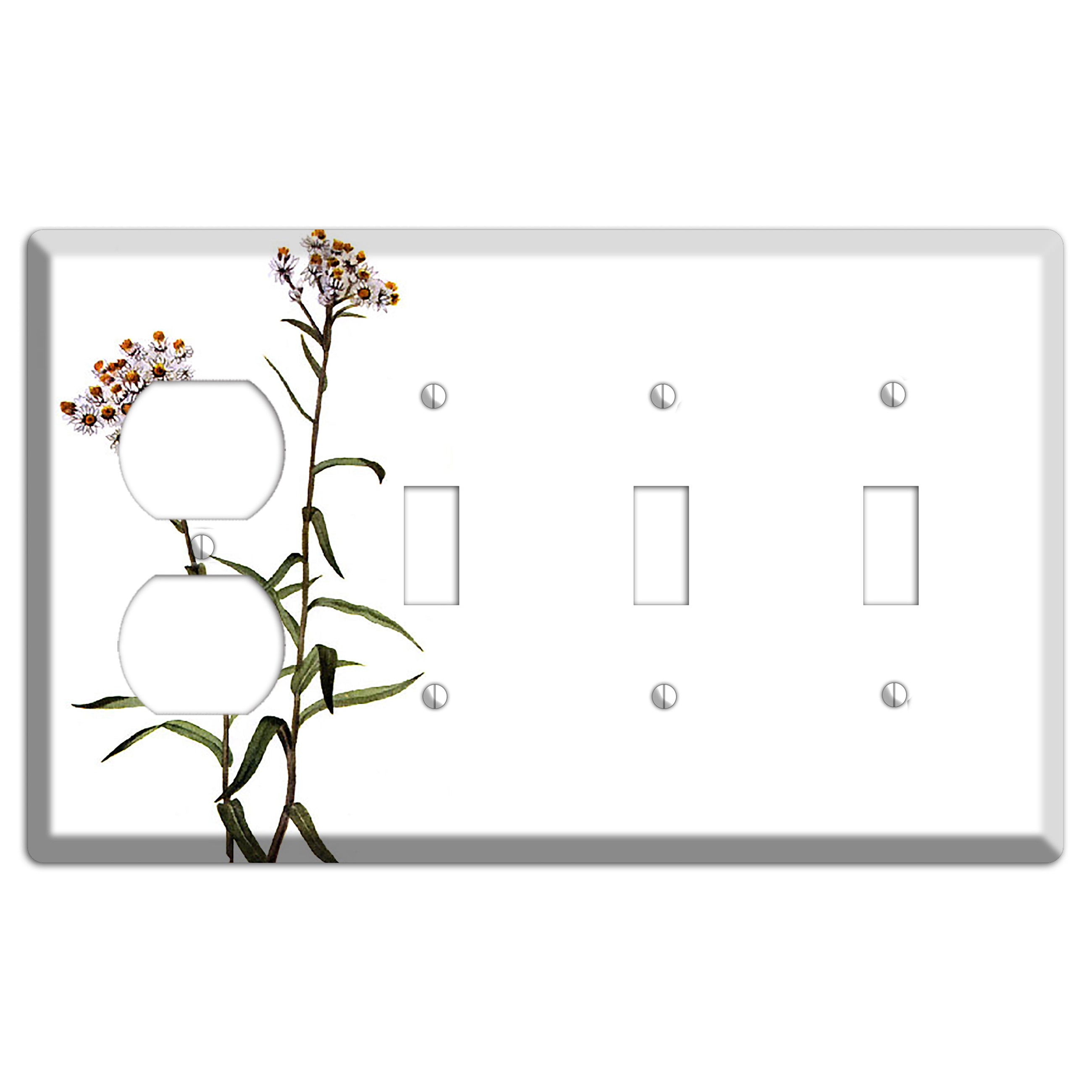 Anaphalis Margoritacea Duplex / 3 Toggle Wallplate