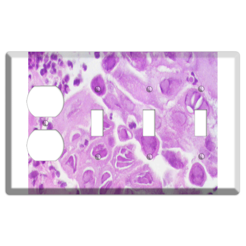 Esophagus Herpes Duplex / 3 Toggle Wallplate