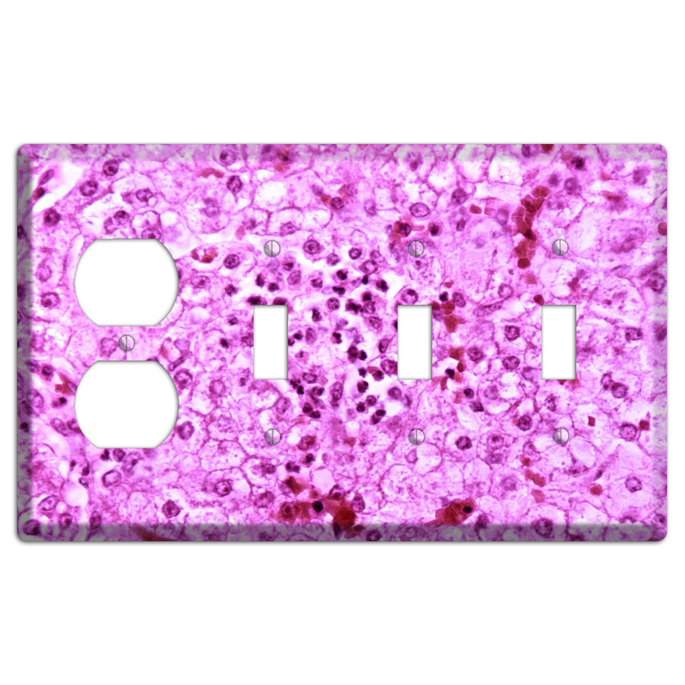 Lores Duplex / 3 Toggle Wallplate