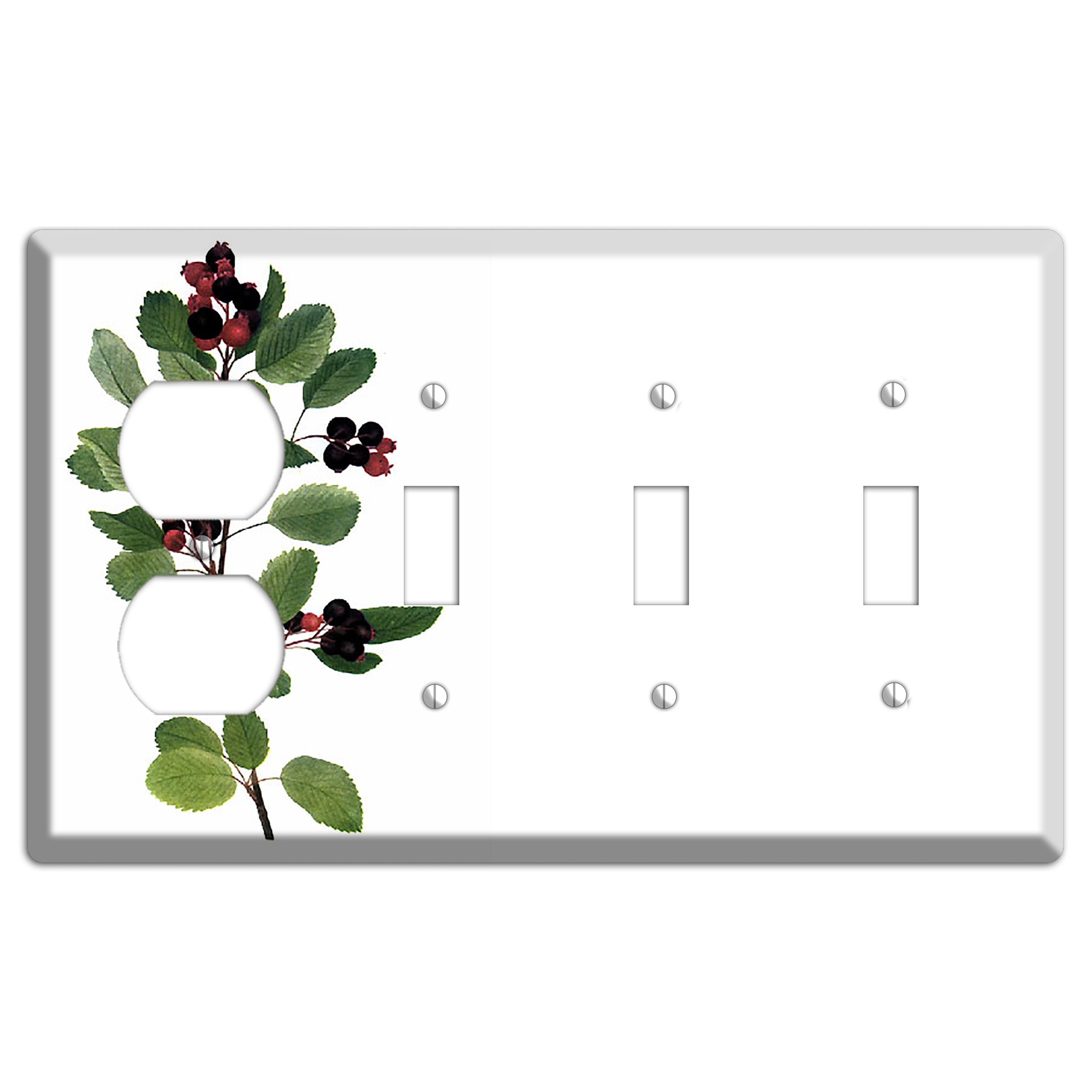 Amelanchier Ainifolia Duplex / 3 Toggle Wallplate