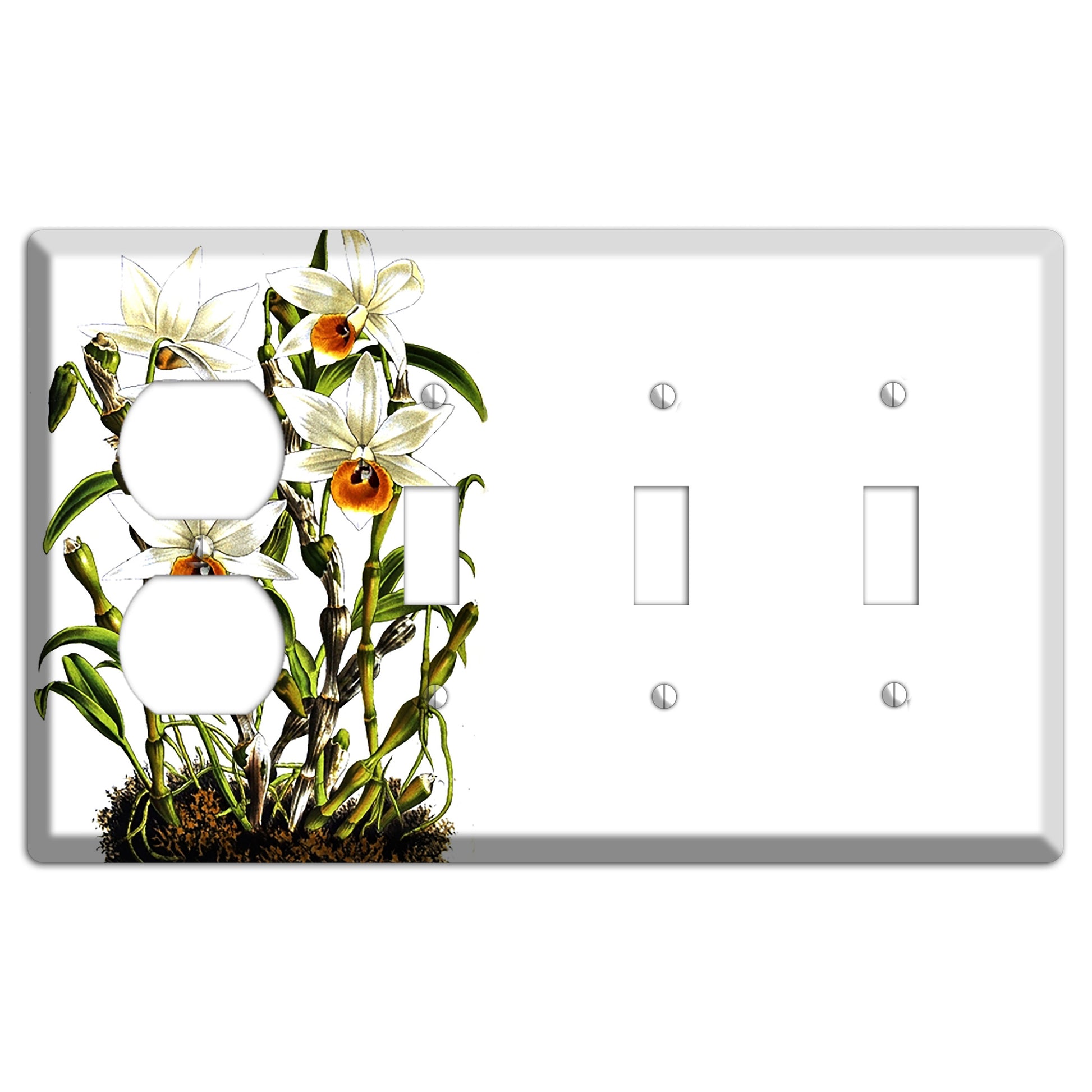 Dendrobium Duplex / 3 Toggle Wallplate
