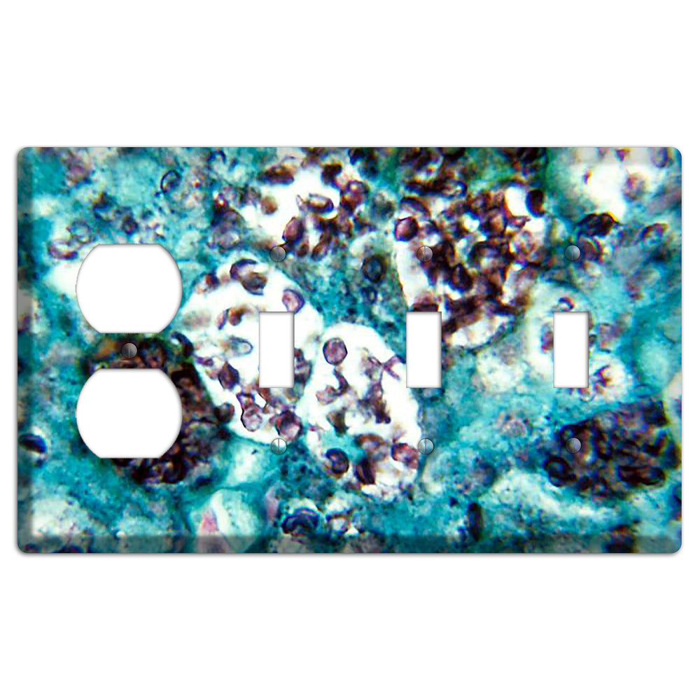 Histoplasmosis Capsulatum Duplex / 3 Toggle Wallplate