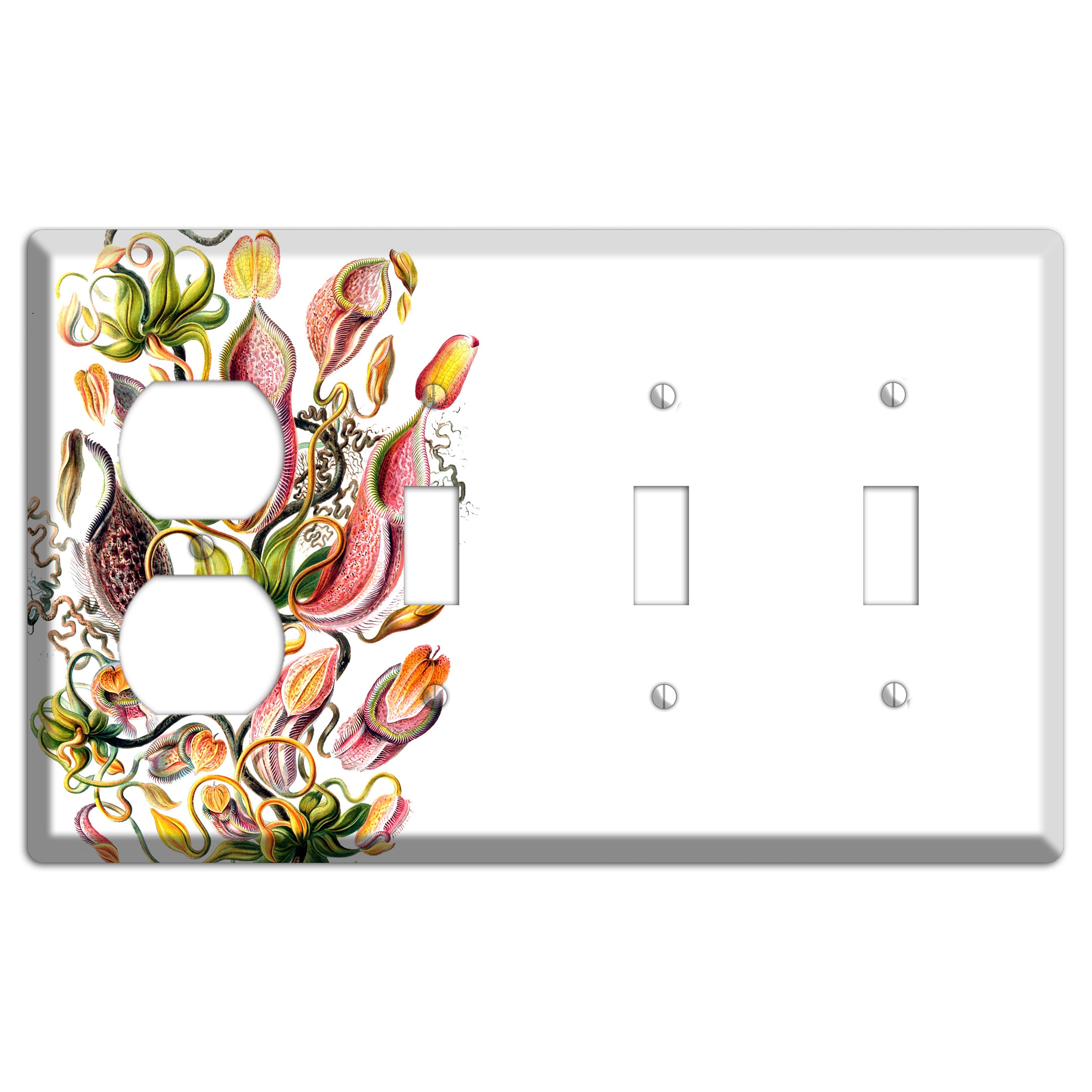 Haechel Duplex / 3 Toggle Wallplate