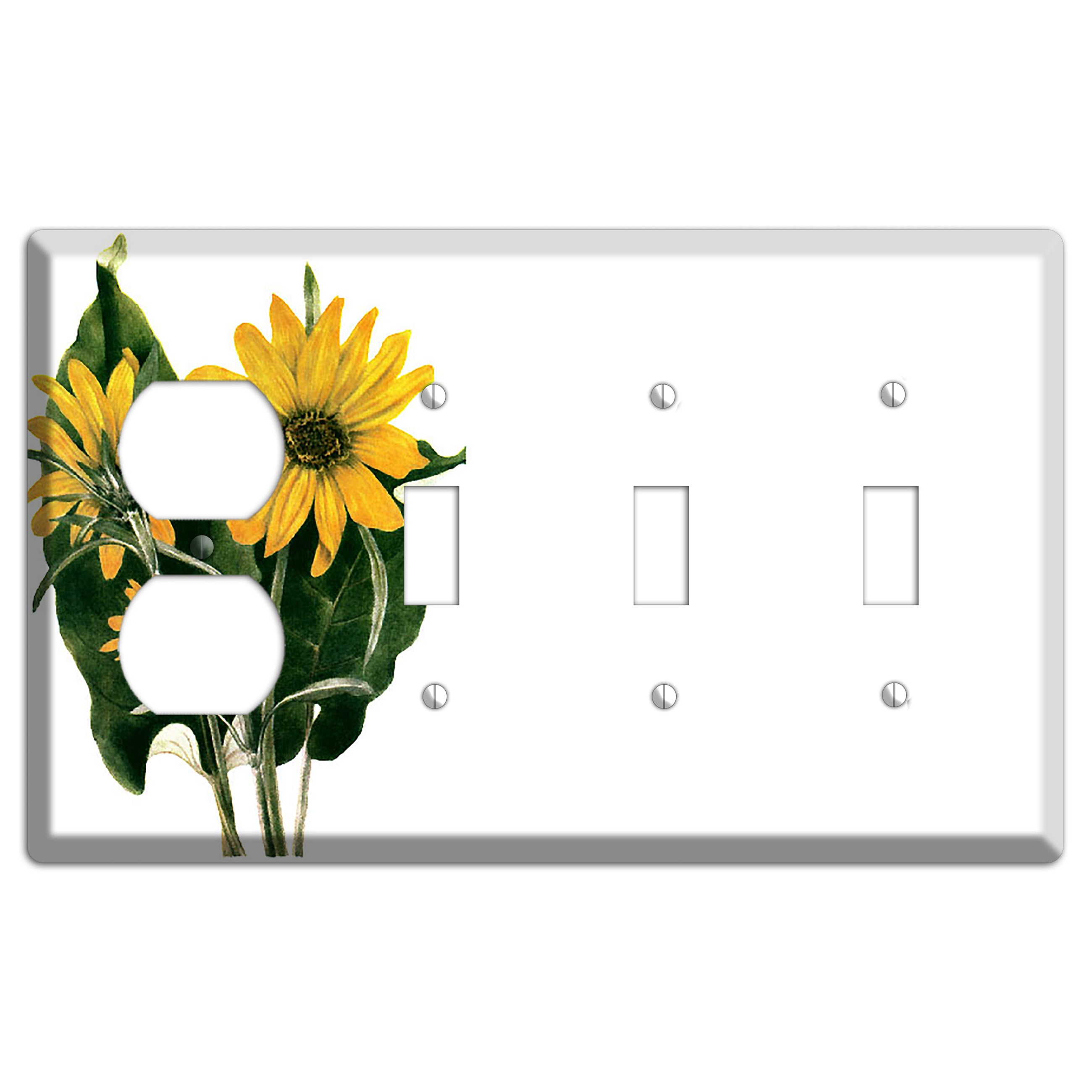 Balsamorhiza Sagittata Duplex / 3 Toggle Wallplate